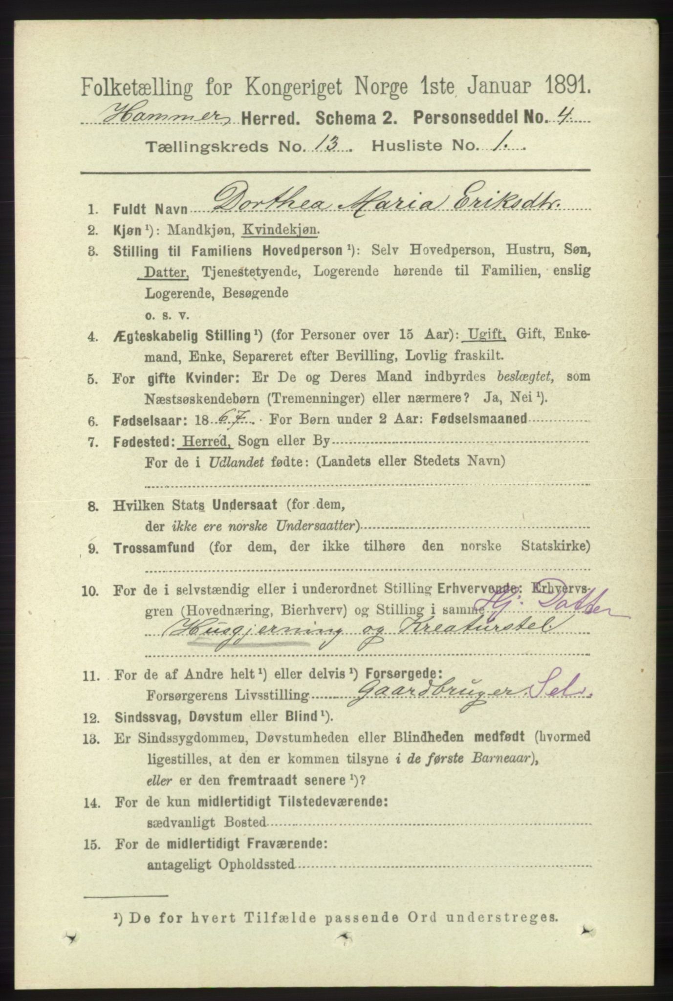 RA, 1891 census for 1254 Hamre, 1891, p. 3996