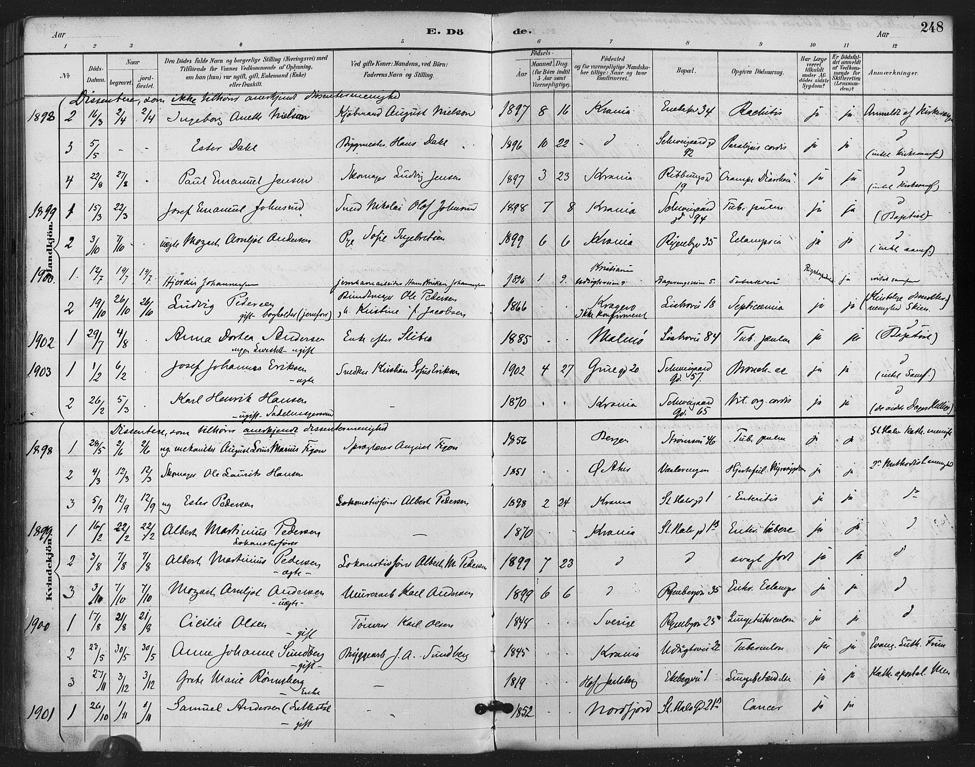 Gamlebyen prestekontor Kirkebøker, SAO/A-10884/F/Fa/L0009: Parish register (official) no. 9, 1888-1909, p. 248
