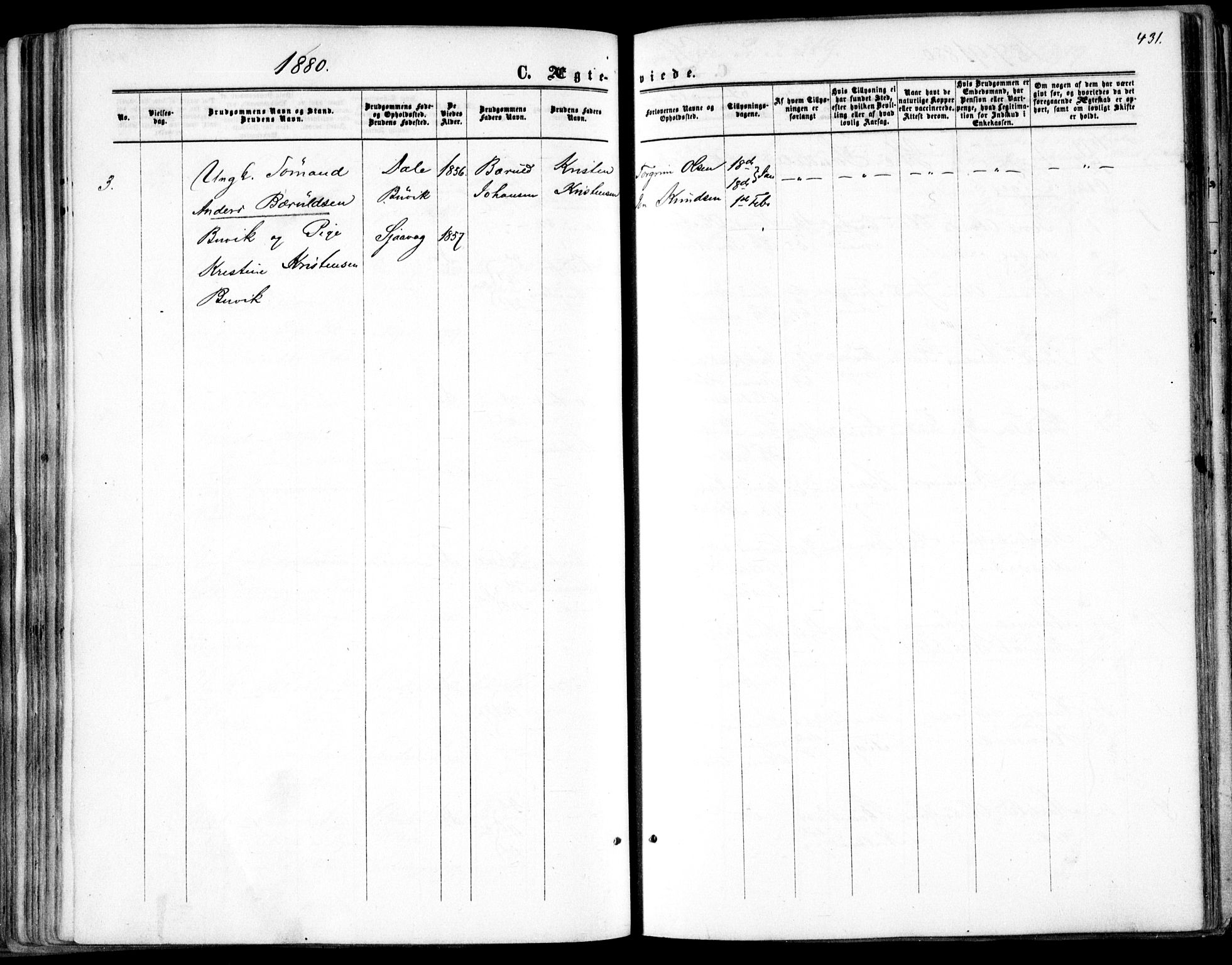 Søndeled sokneprestkontor, AV/SAK-1111-0038/F/Fa/L0003: Parish register (official) no. A 3, 1861-1879, p. 431