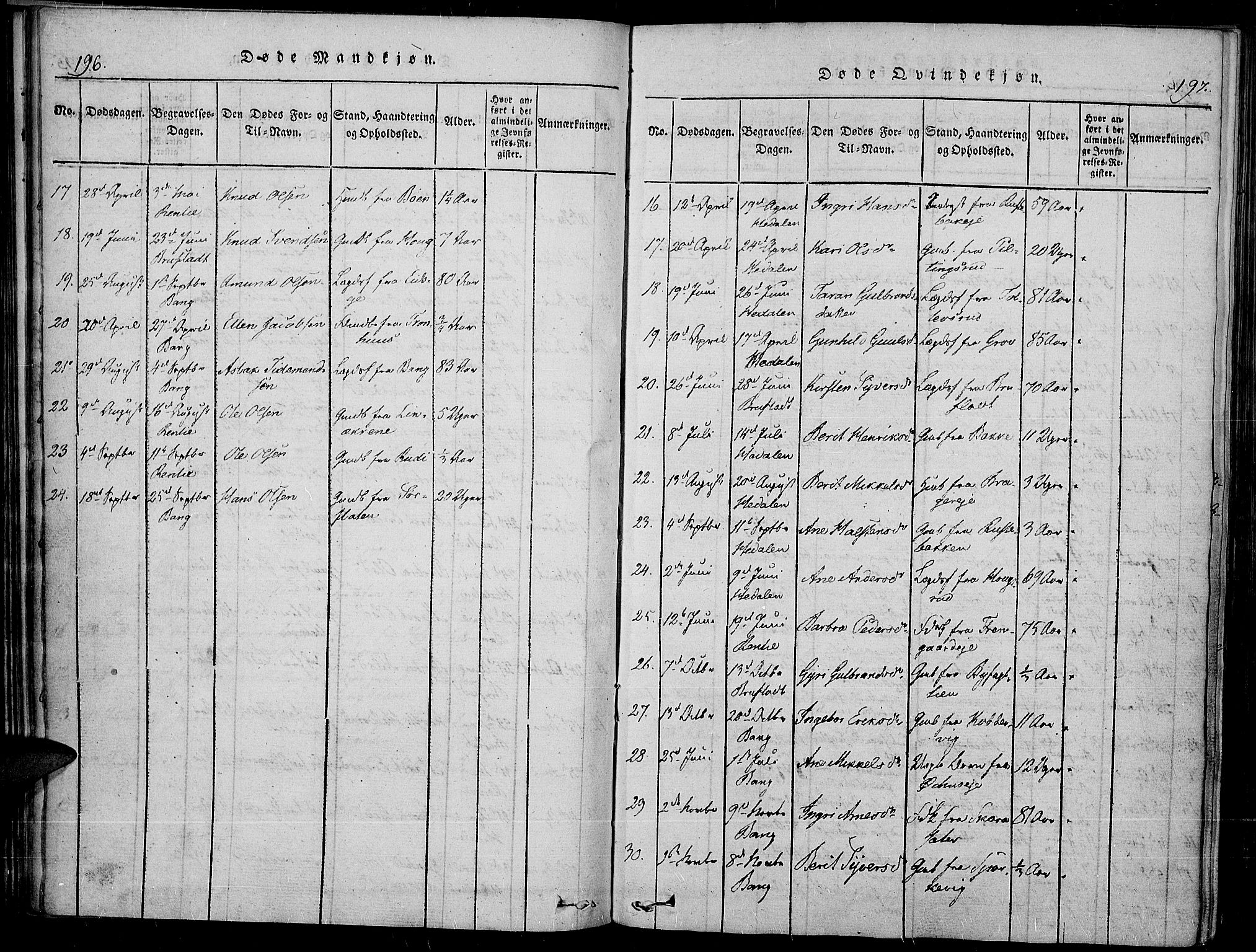 Sør-Aurdal prestekontor, AV/SAH-PREST-128/H/Ha/Haa/L0003: Parish register (official) no. 3, 1825-1840, p. 196-197