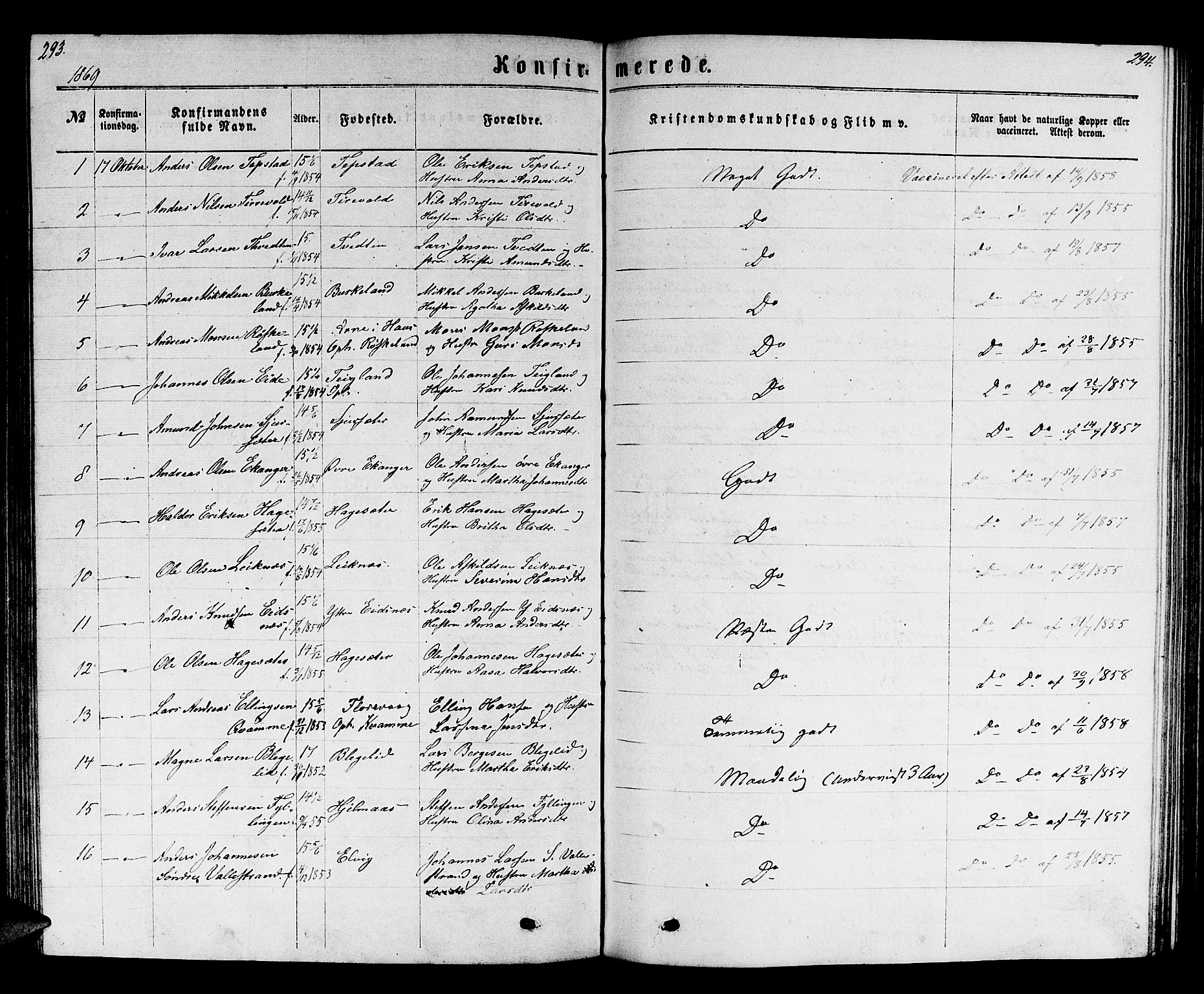 Hamre sokneprestembete, SAB/A-75501/H/Ha/Hab: Parish register (copy) no. B 2, 1863-1880, p. 293-294