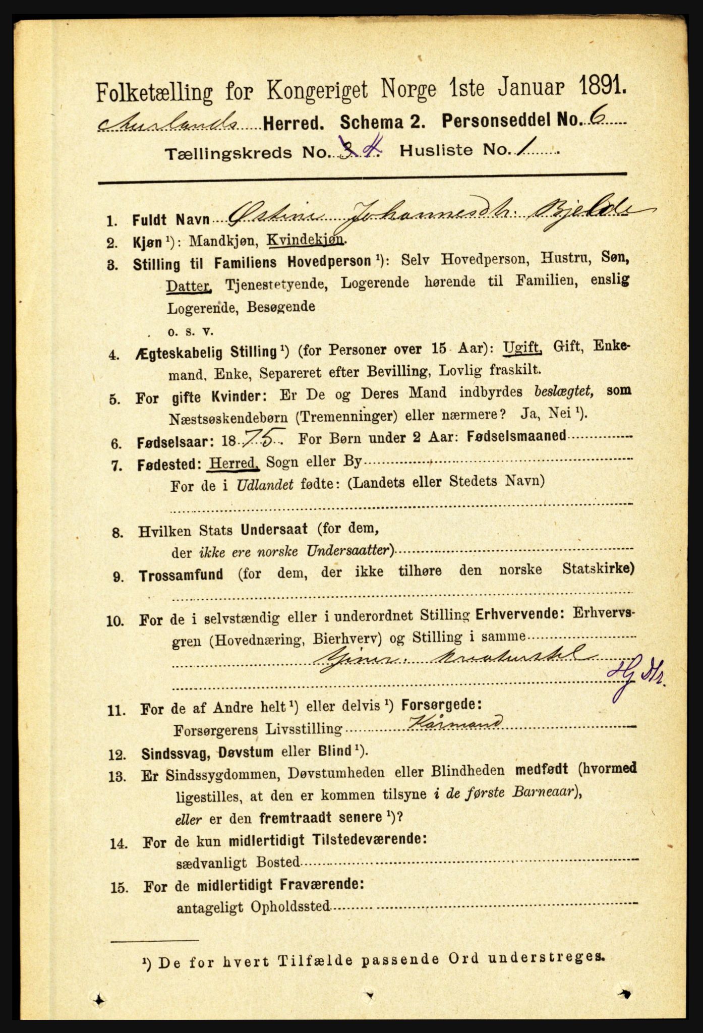 RA, 1891 census for 1421 Aurland, 1891, p. 1363