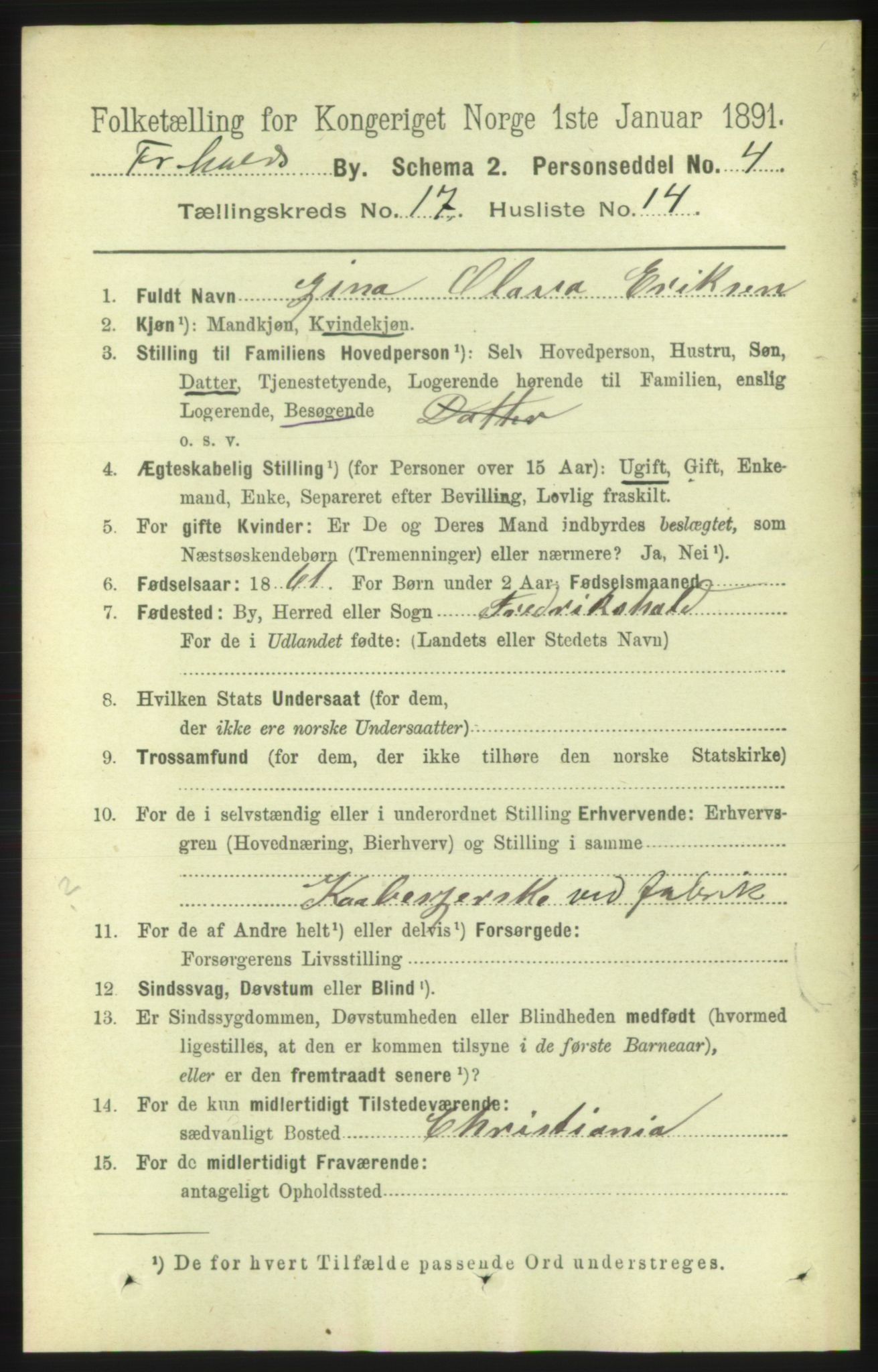 RA, 1891 census for 0101 Fredrikshald, 1891, p. 11104