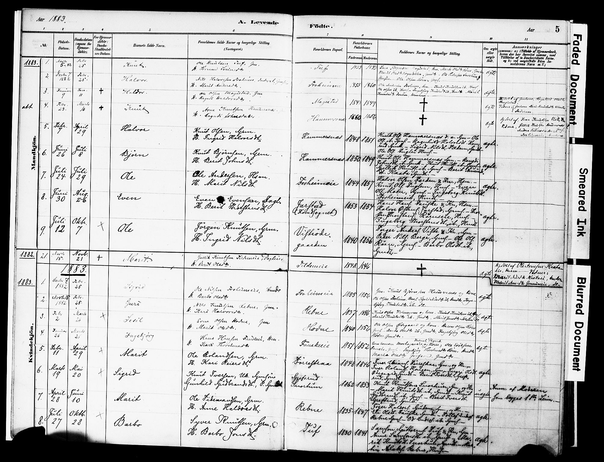 Vestre Slidre prestekontor, SAH/PREST-136/H/Ha/Haa/L0006: Parish register (official) no. 6, 1881-1912, p. 5