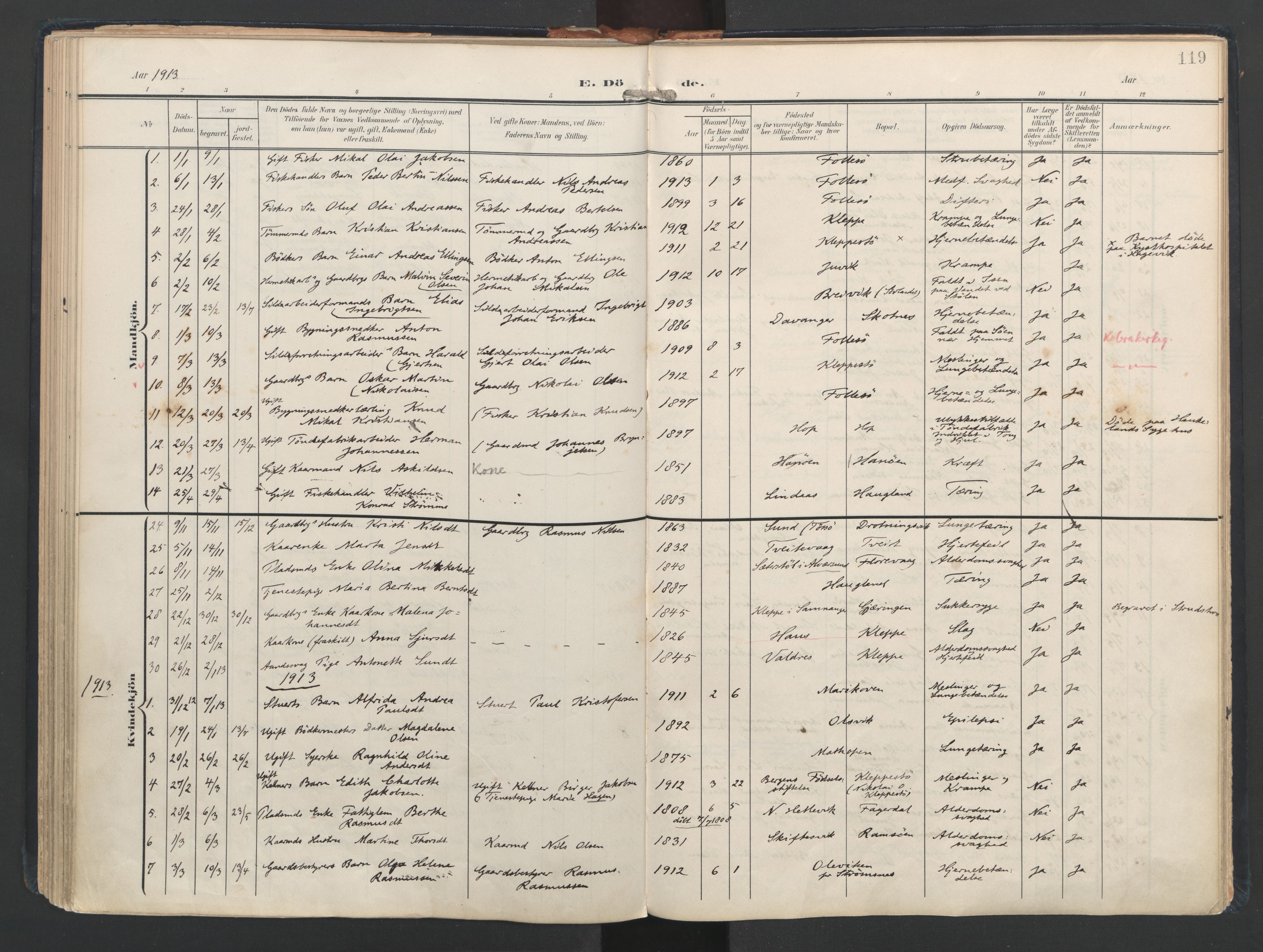 Askøy Sokneprestembete, AV/SAB-A-74101/H/Ha/Haa/Haad/L0001: Parish register (official) no. D 1, 1902-1916, p. 119