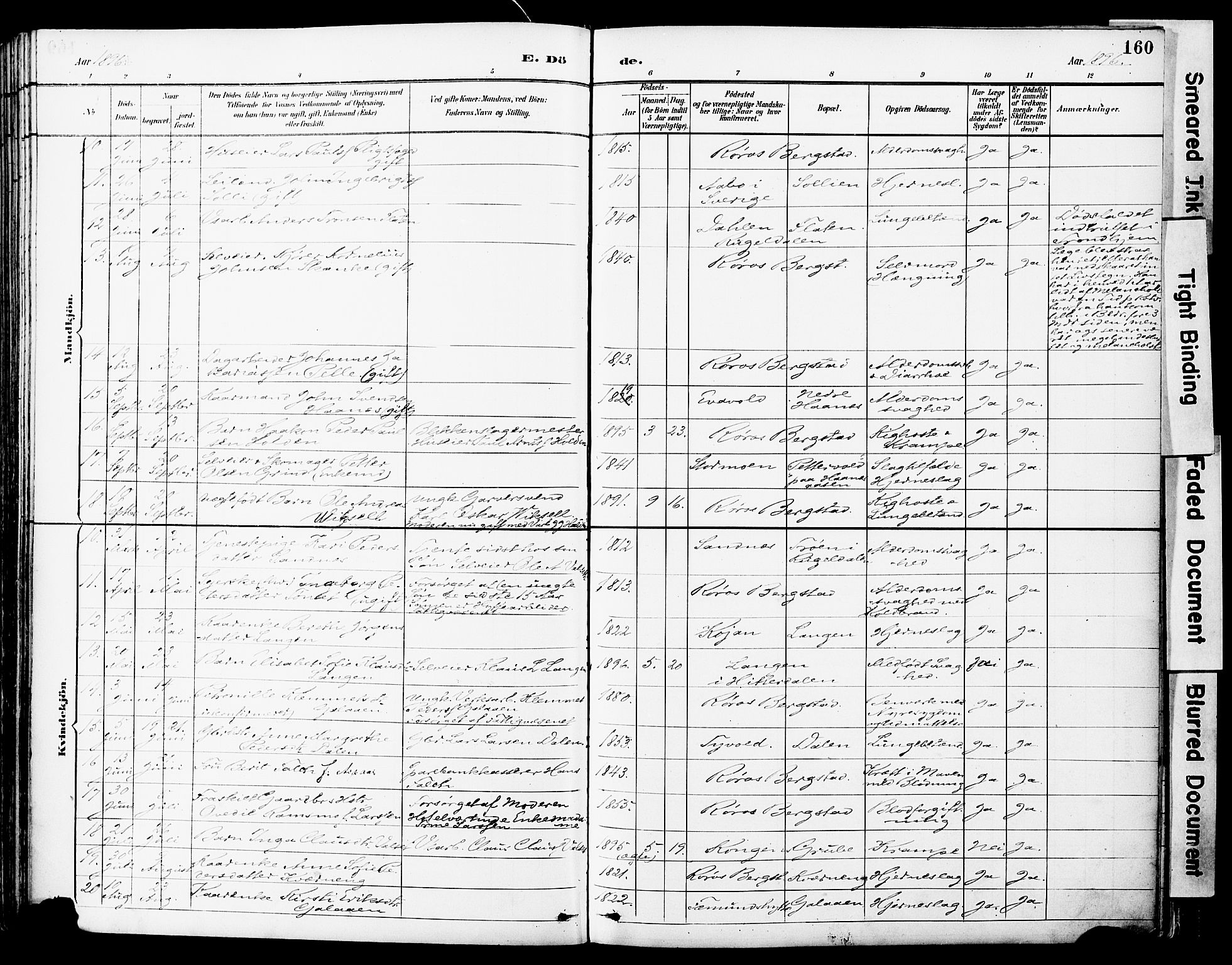 Ministerialprotokoller, klokkerbøker og fødselsregistre - Sør-Trøndelag, SAT/A-1456/681/L0935: Parish register (official) no. 681A13, 1890-1898, p. 160