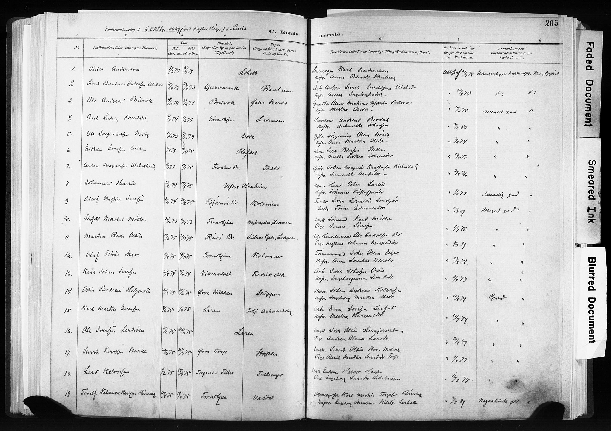 Ministerialprotokoller, klokkerbøker og fødselsregistre - Sør-Trøndelag, AV/SAT-A-1456/606/L0300: Parish register (official) no. 606A15, 1886-1893, p. 205