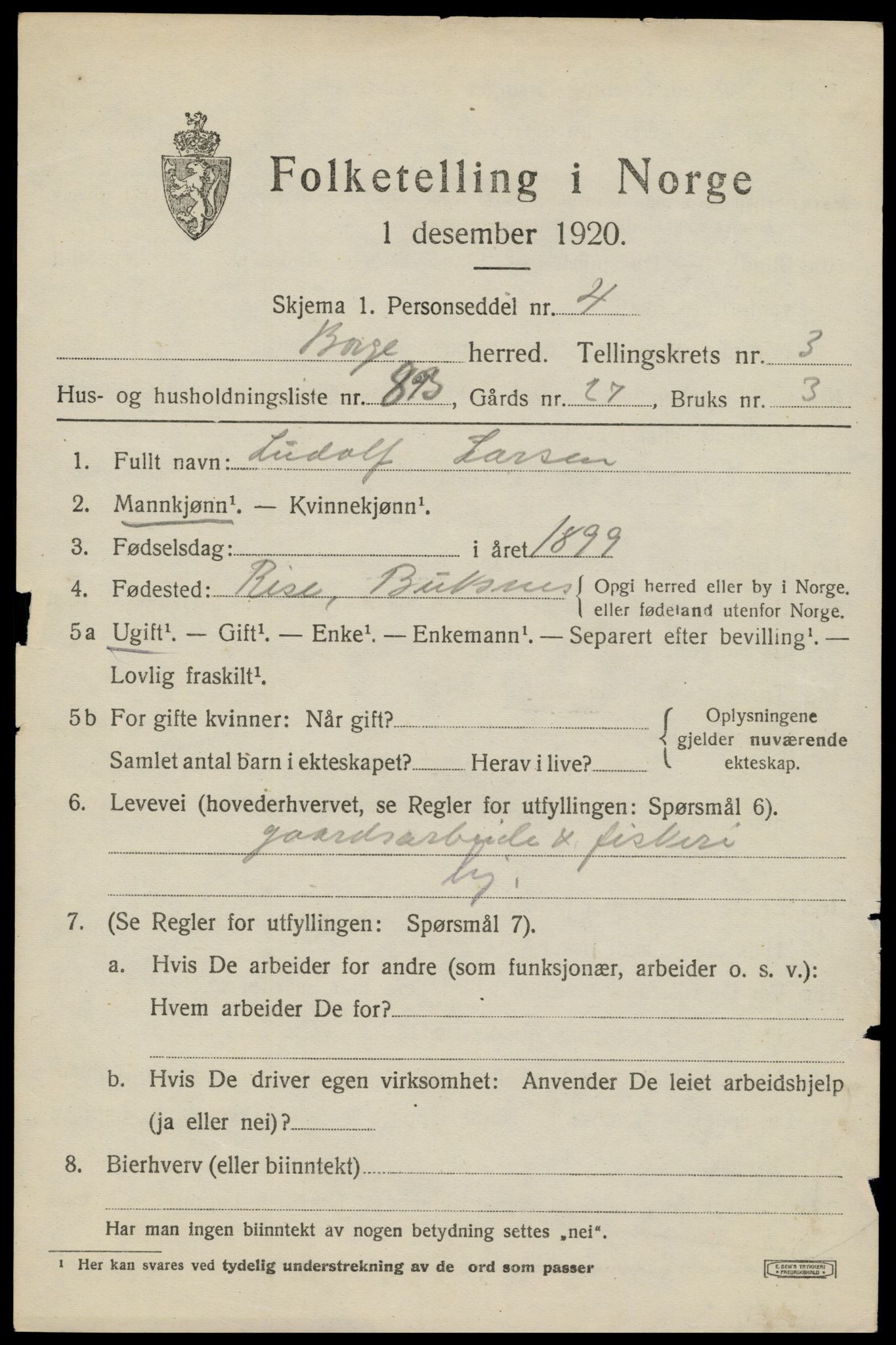 SAT, 1920 census for Borge, 1920, p. 4293