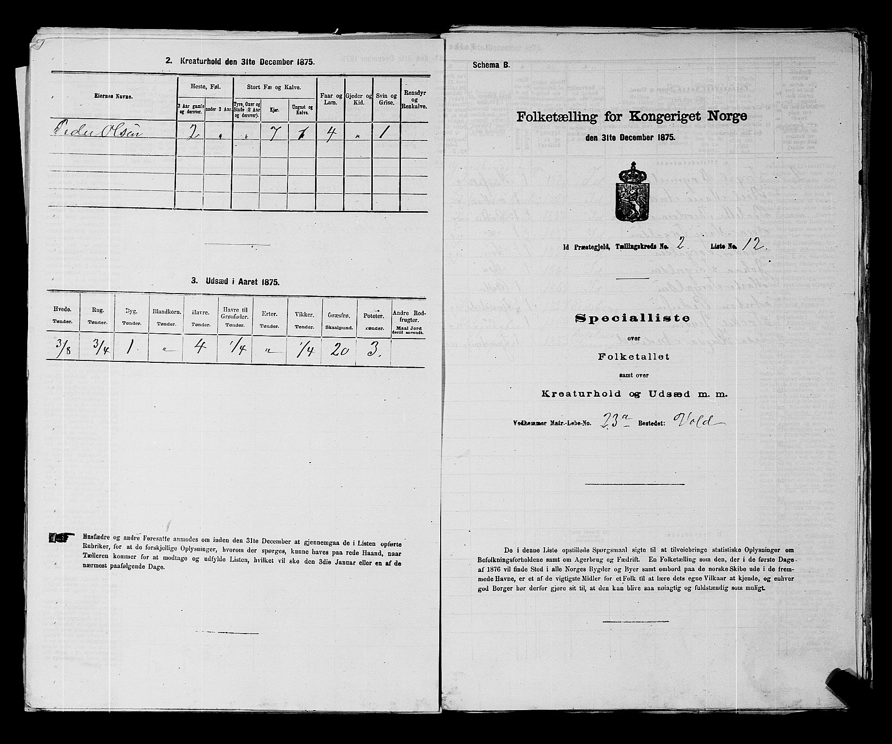 RA, 1875 census for 0117P Idd, 1875, p. 176