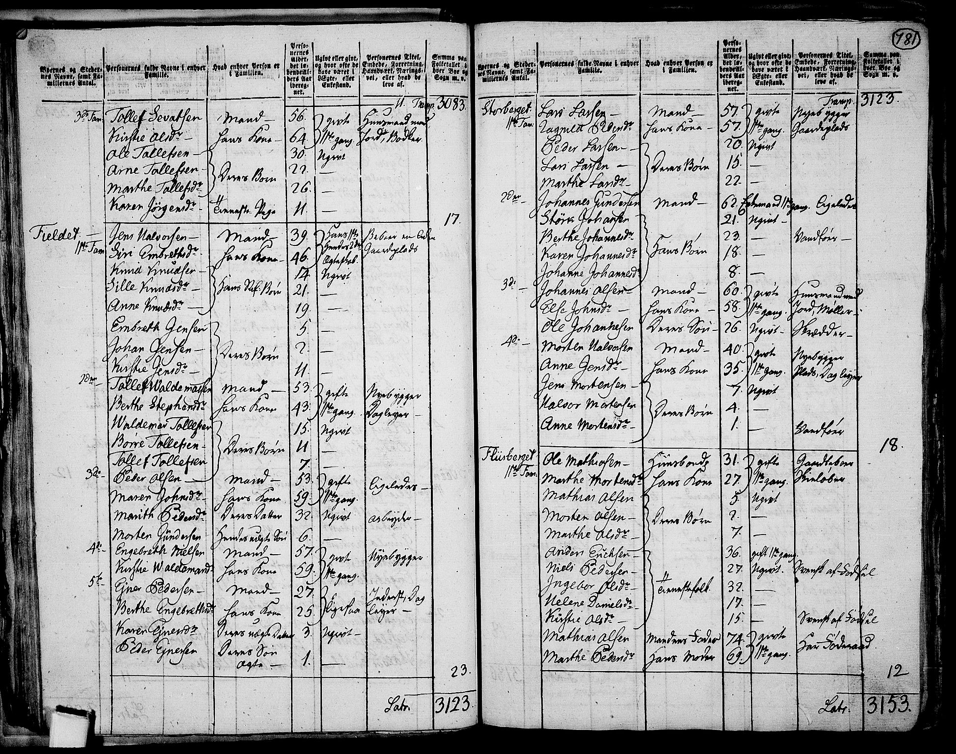 RA, 1801 census for 0427P Elverum, 1801, p. 780b-781a