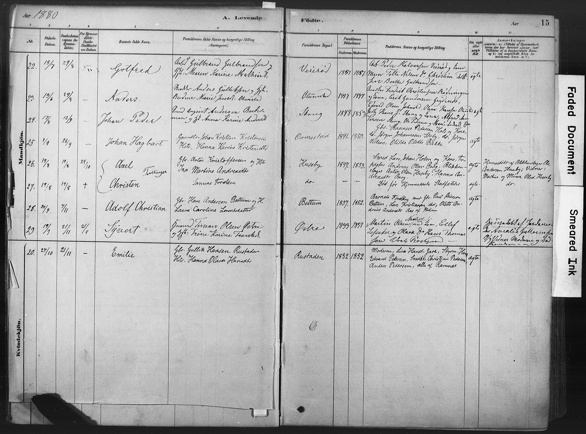 Våle kirkebøker, SAKO/A-334/F/Fa/L0011: Parish register (official) no. I 11, 1878-1906, p. 15