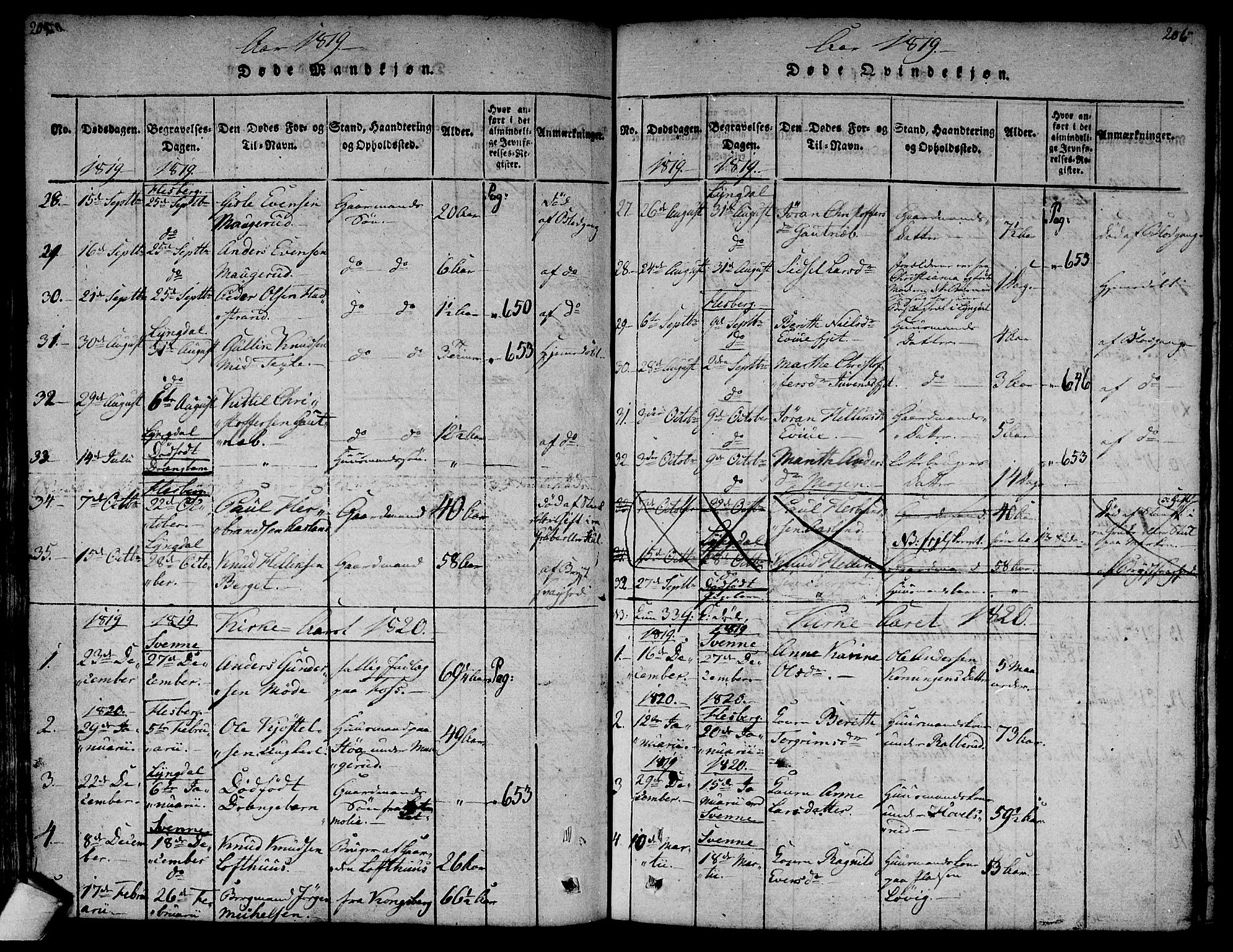 Flesberg kirkebøker, AV/SAKO-A-18/F/Fa/L0005: Parish register (official) no. I 5, 1816-1834, p. 205-206