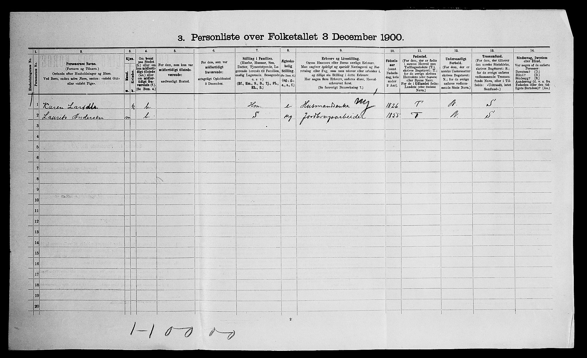 SAO, 1900 census for Nes, 1900