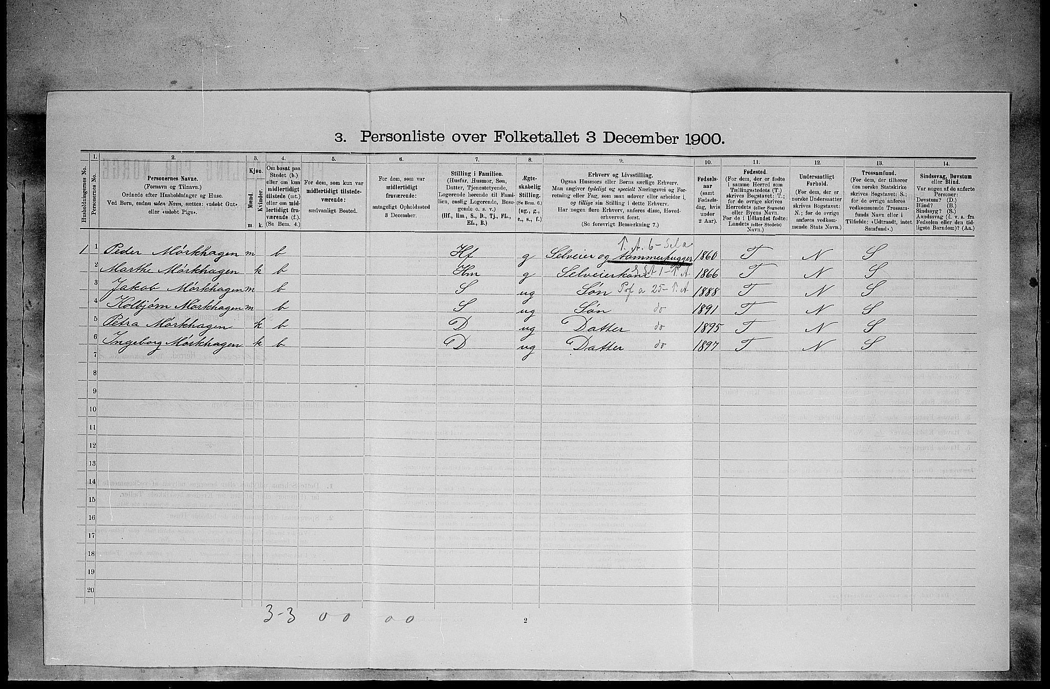 SAH, 1900 census for Elverum, 1900, p. 399
