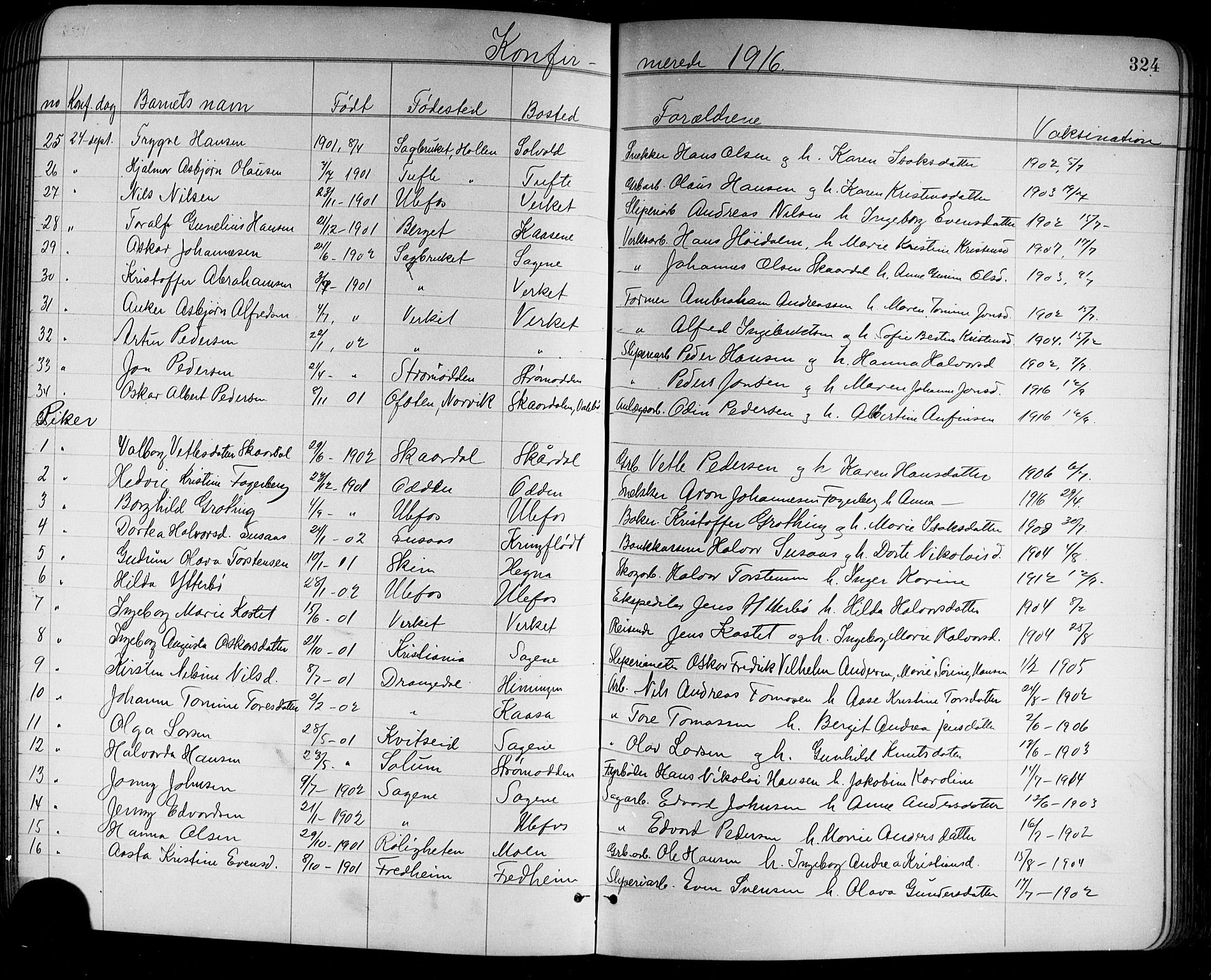 Holla kirkebøker, SAKO/A-272/G/Ga/L0005: Parish register (copy) no. I 5, 1891-1917, p. 324