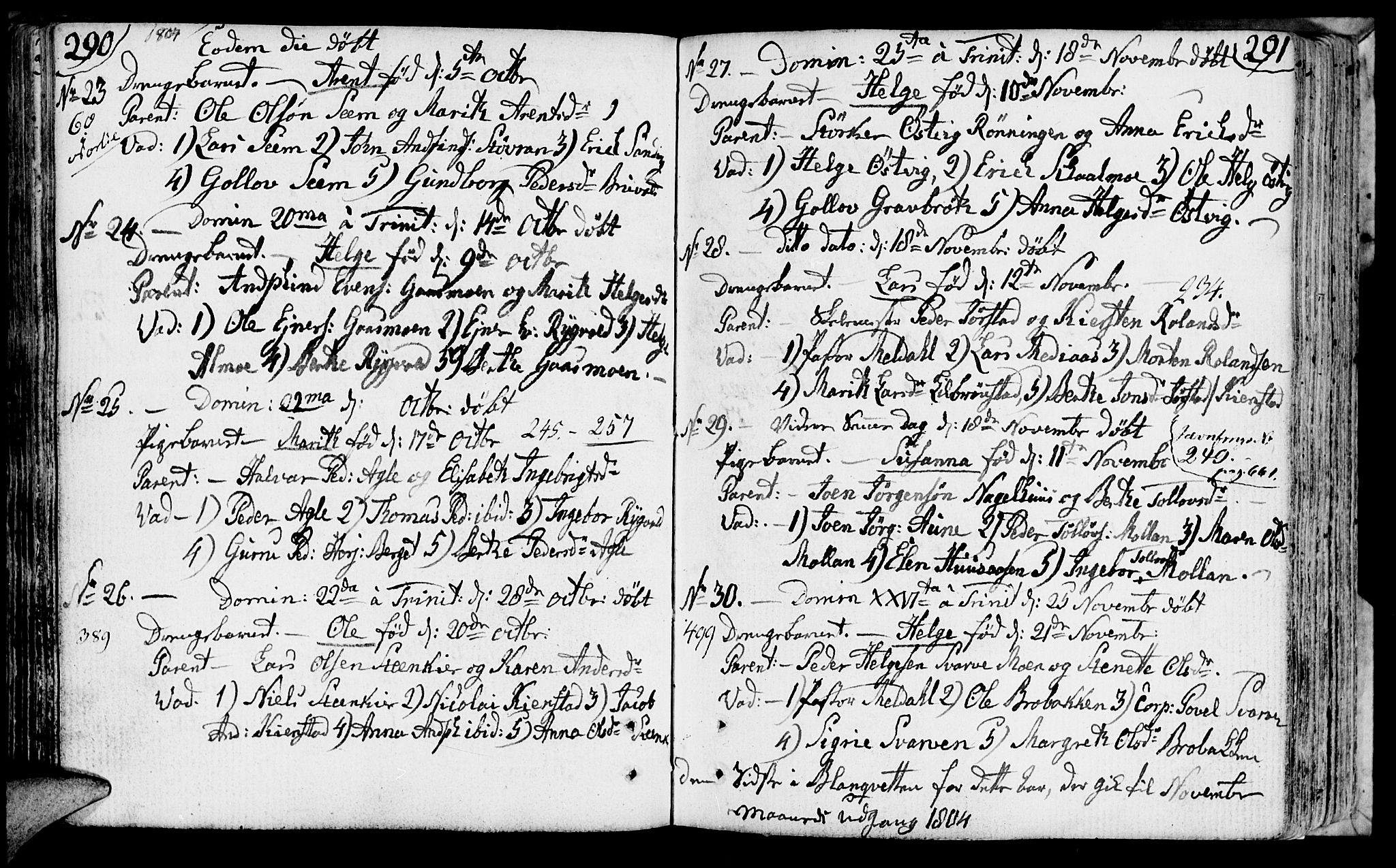 Ministerialprotokoller, klokkerbøker og fødselsregistre - Nord-Trøndelag, SAT/A-1458/749/L0468: Parish register (official) no. 749A02, 1787-1817, p. 290-291