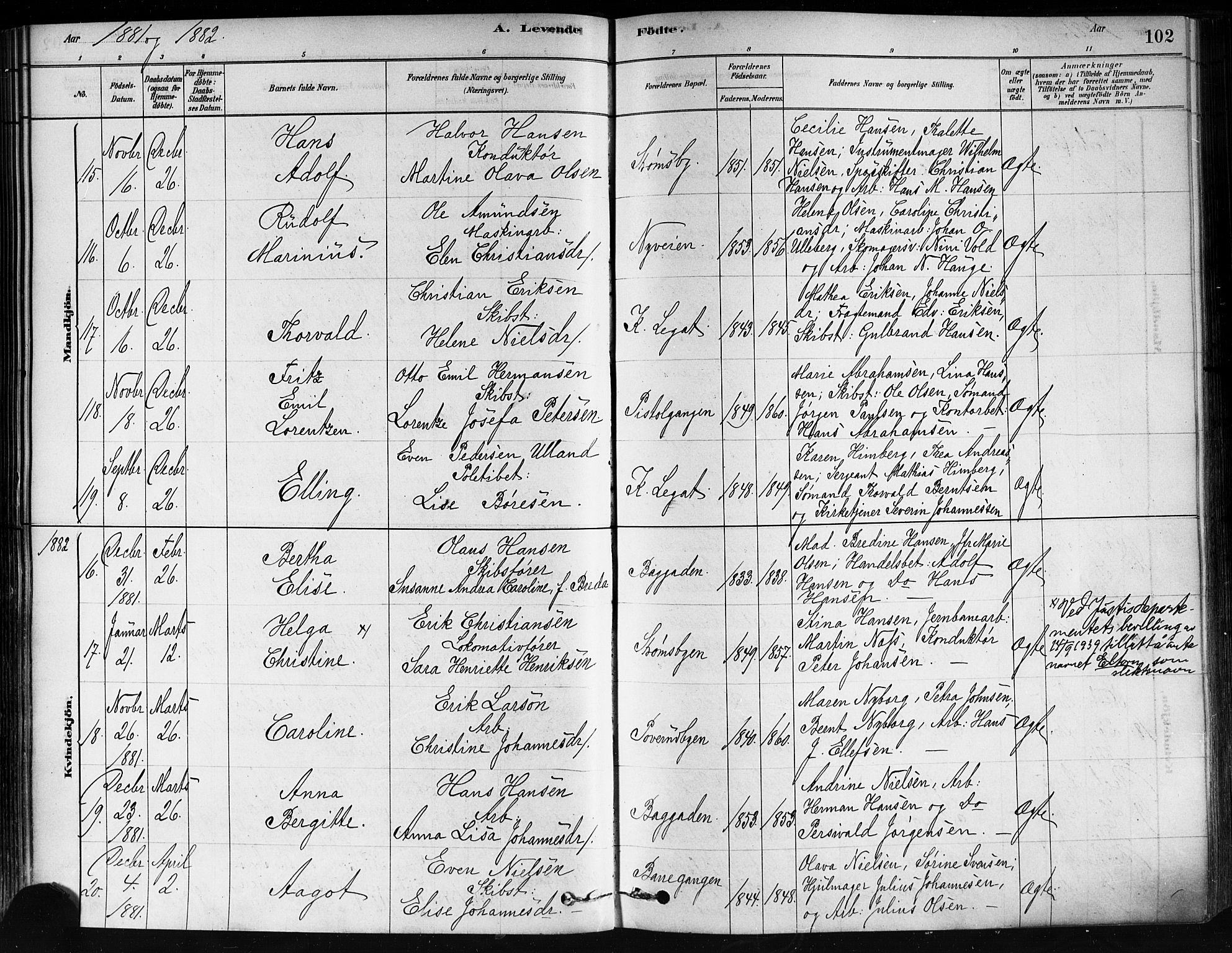 Strømsø kirkebøker, SAKO/A-246/F/Fa/L0021: Parish register (official) no. I 21, 1878-1885, p. 102