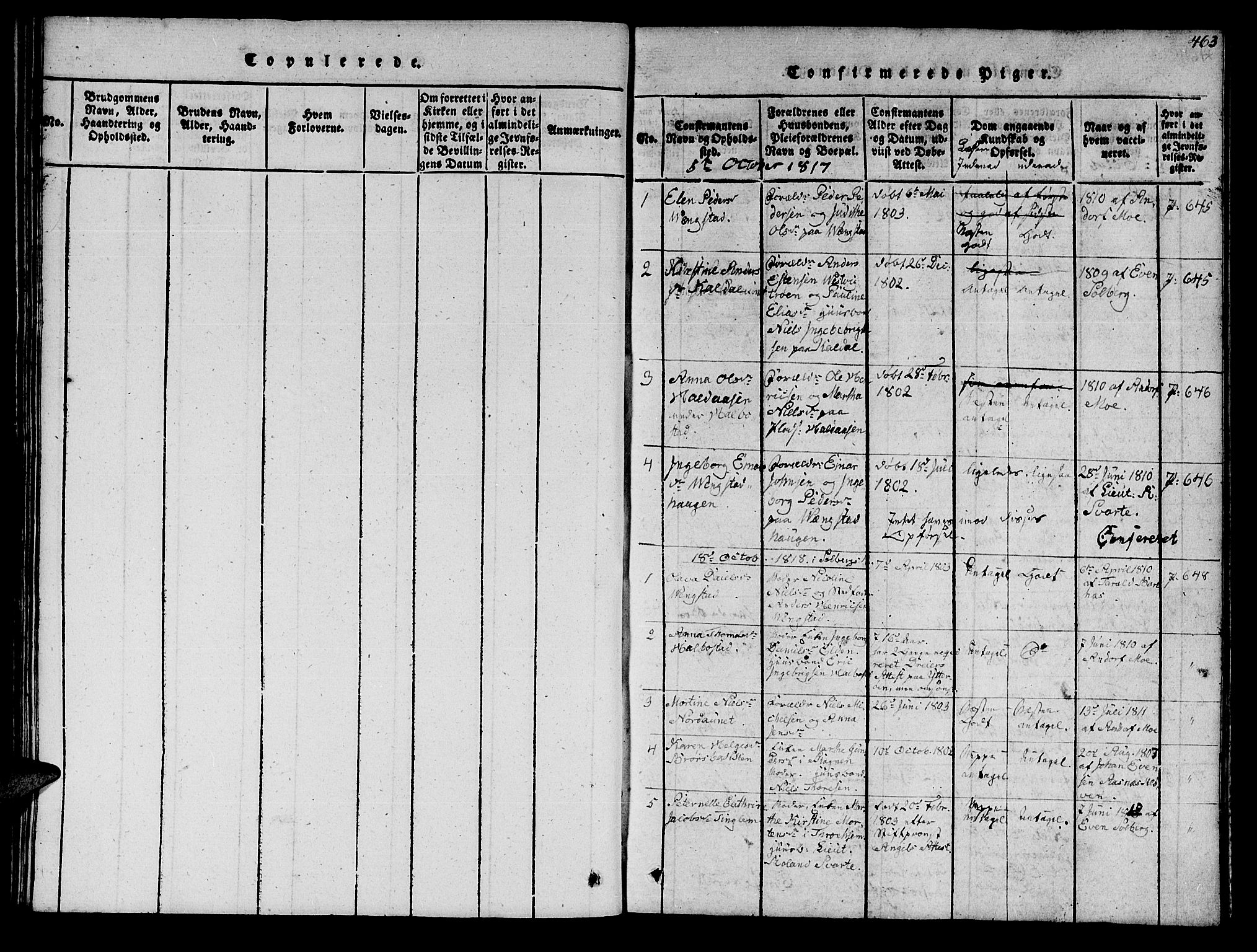Ministerialprotokoller, klokkerbøker og fødselsregistre - Nord-Trøndelag, SAT/A-1458/742/L0411: Parish register (copy) no. 742C02, 1817-1825, p. 462-463