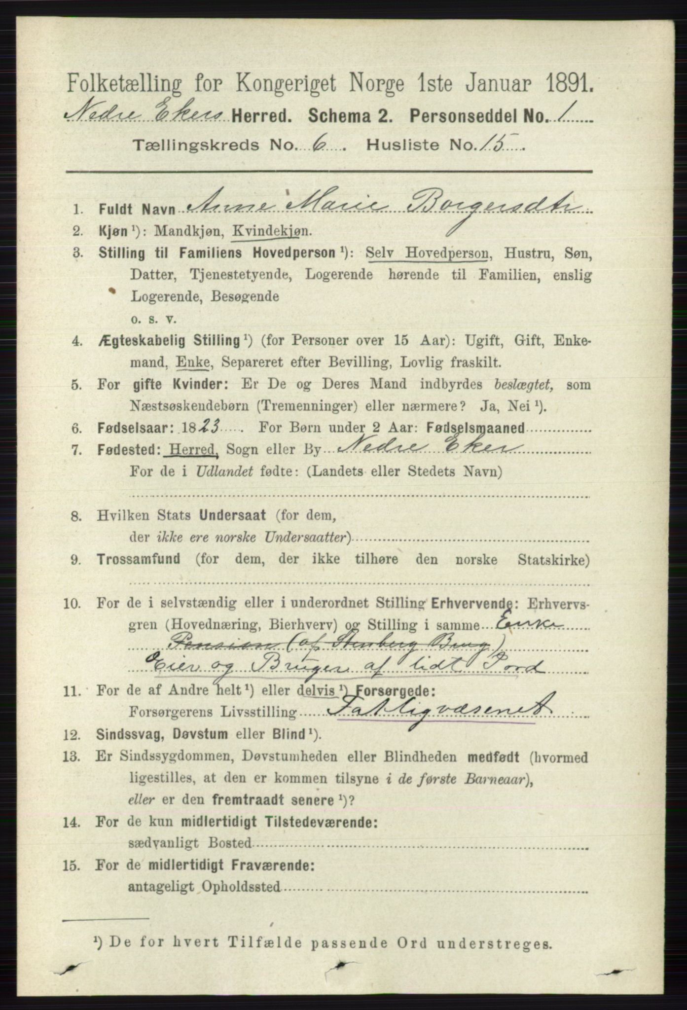 RA, 1891 census for 0625 Nedre Eiker, 1891, p. 2976