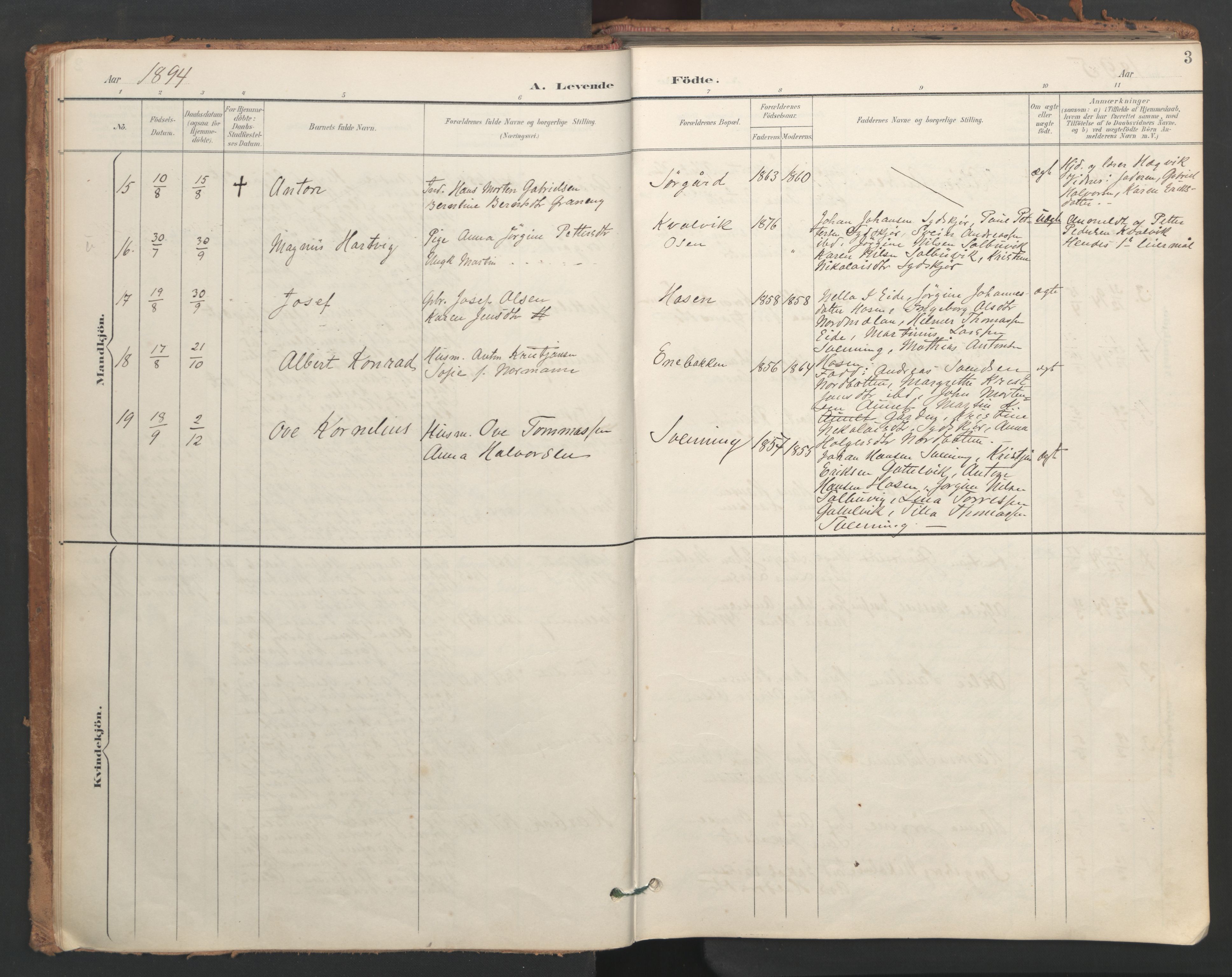Ministerialprotokoller, klokkerbøker og fødselsregistre - Sør-Trøndelag, SAT/A-1456/656/L0693: Parish register (official) no. 656A02, 1894-1913, p. 3