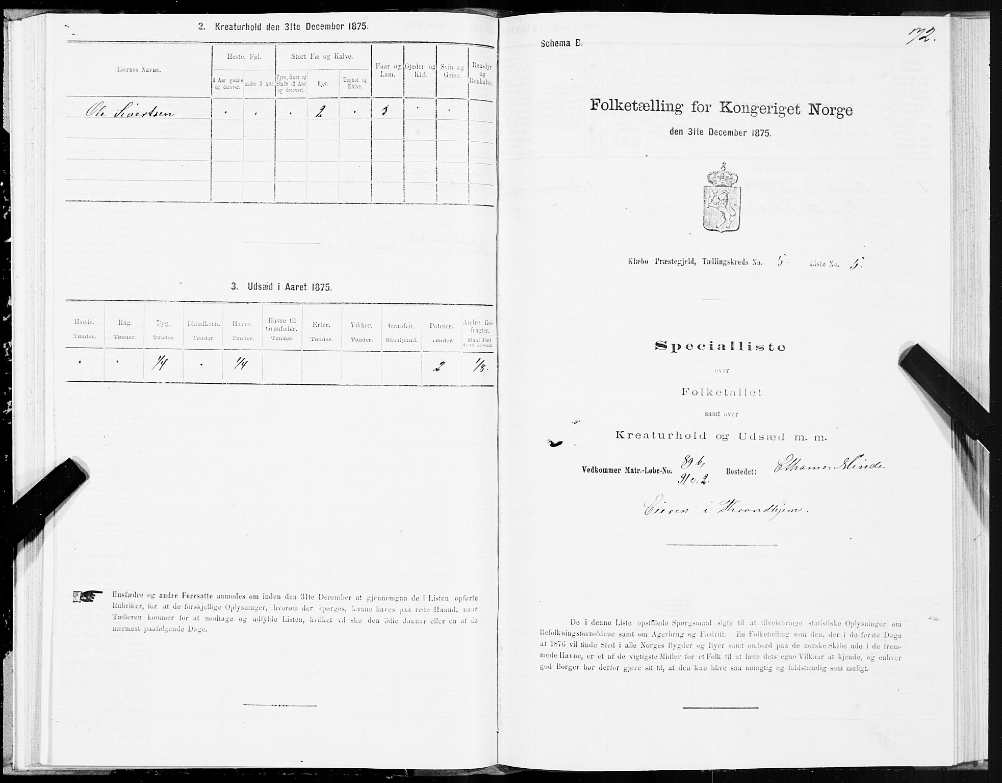 SAT, 1875 census for 1662P Klæbu, 1875, p. 2072