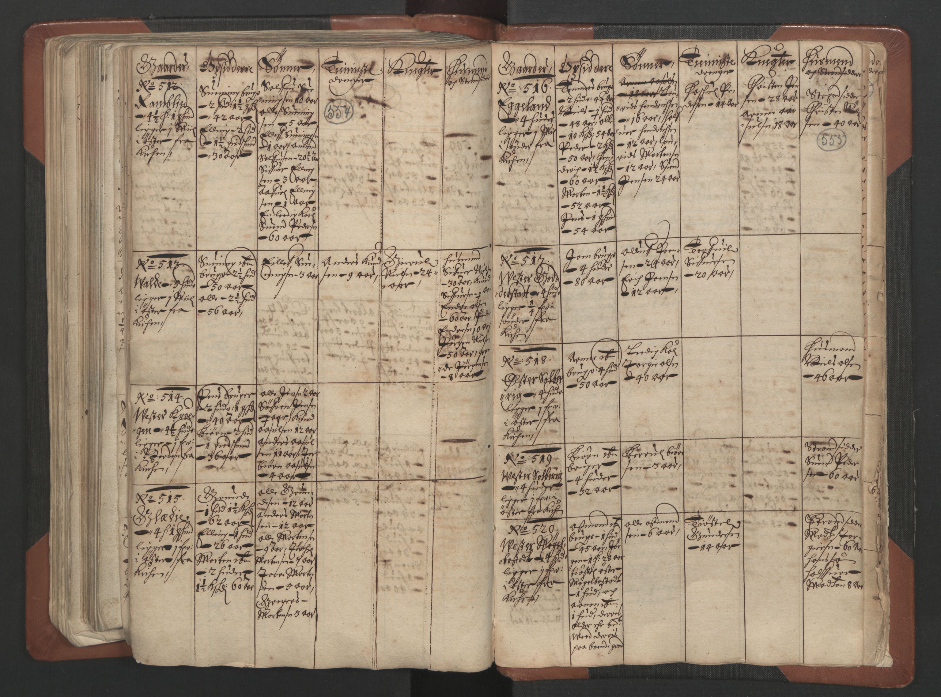 RA, Bailiff's Census 1664-1666, no. 7: Nedenes fogderi, 1664-1666, p. 554-555