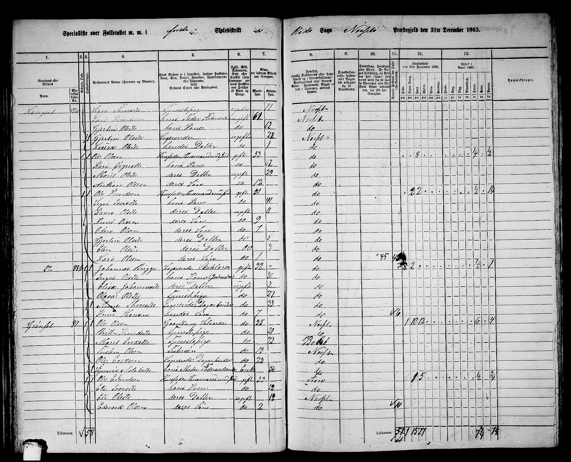 RA, 1865 census for Nesset, 1865, p. 67