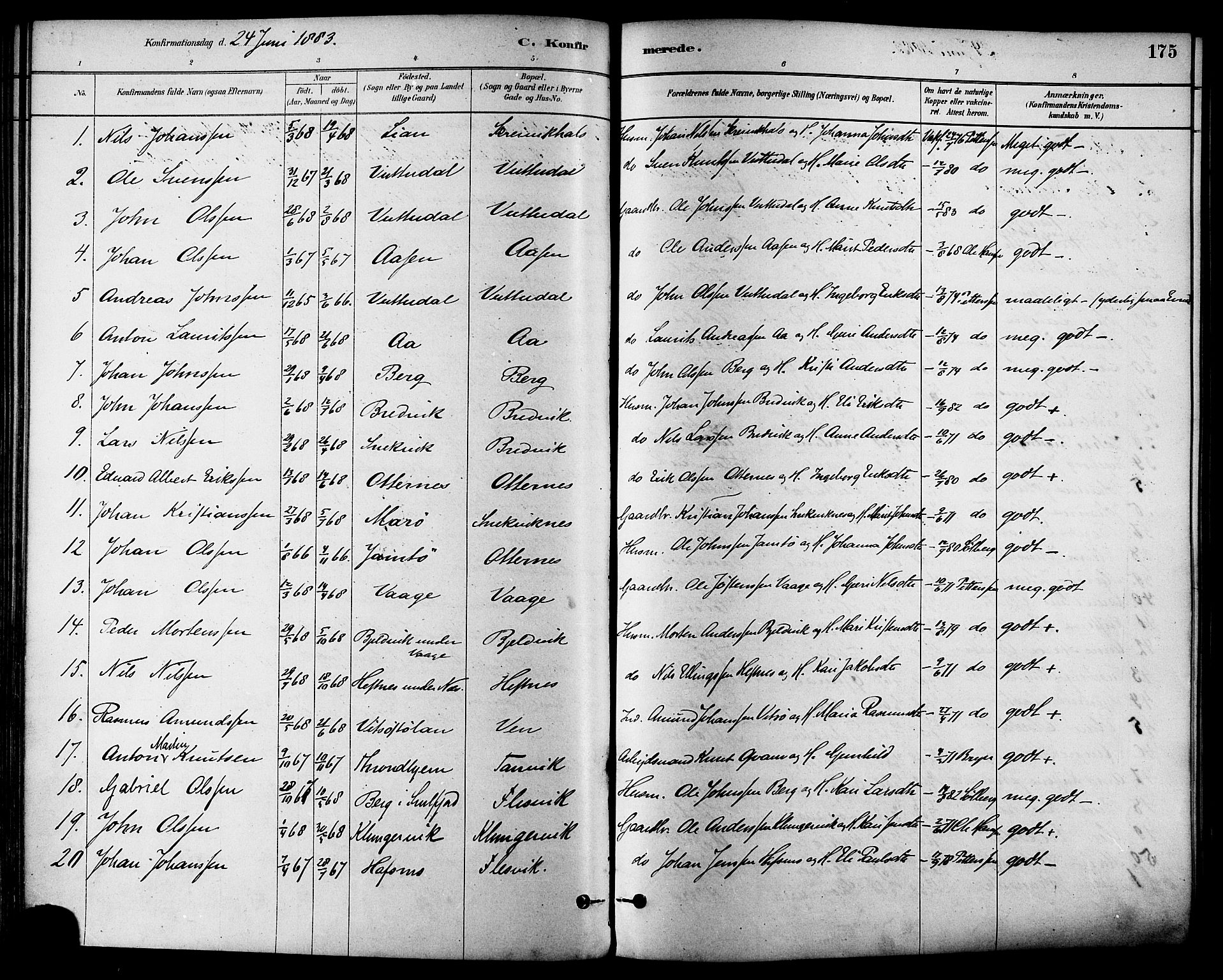 Ministerialprotokoller, klokkerbøker og fødselsregistre - Sør-Trøndelag, SAT/A-1456/630/L0496: Parish register (official) no. 630A09, 1879-1895, p. 175