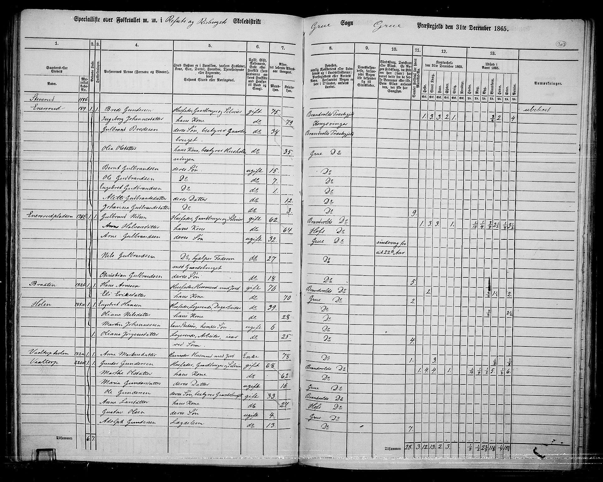 RA, 1865 census for Grue, 1865, p. 266
