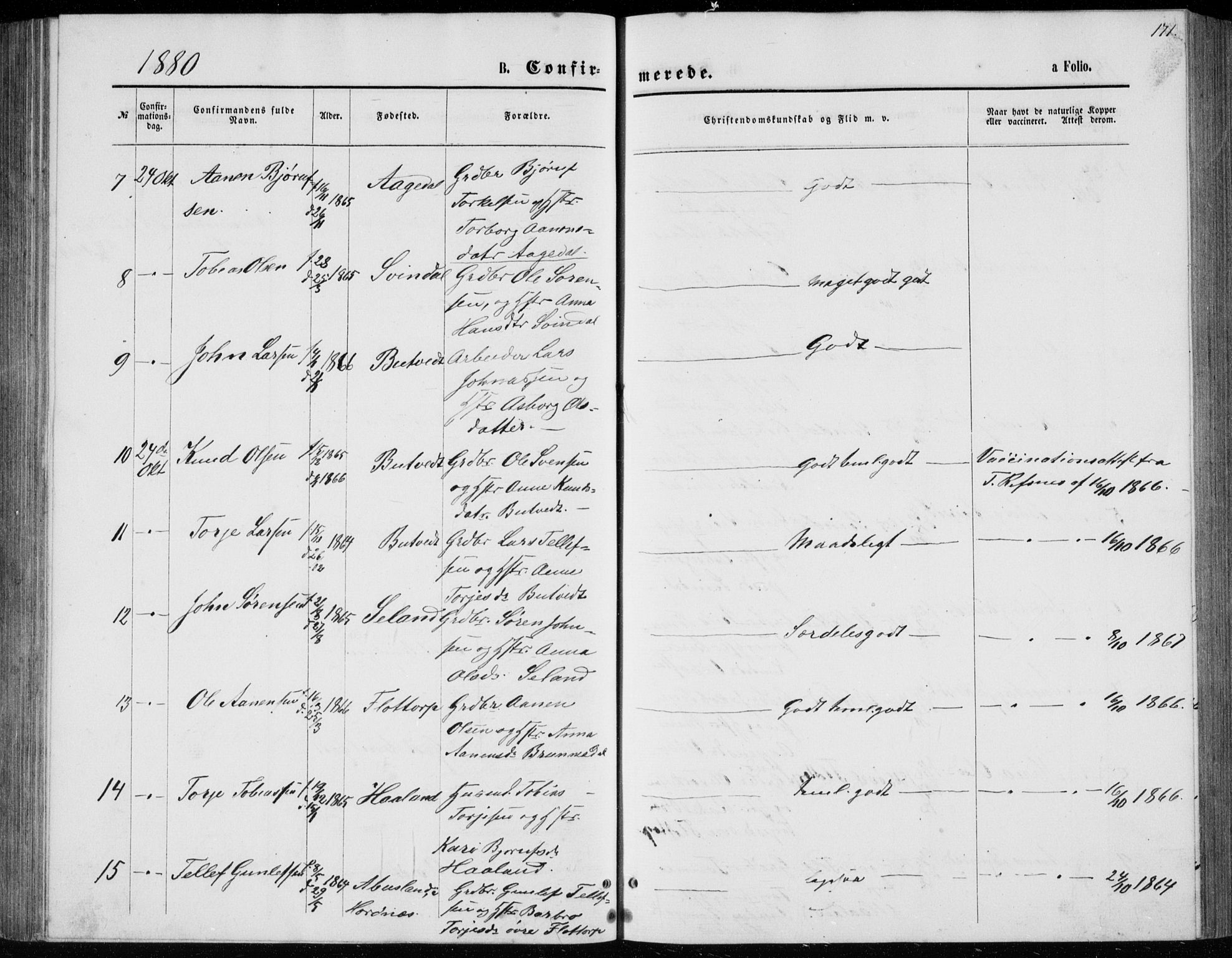 Bjelland sokneprestkontor, SAK/1111-0005/F/Fb/Fbc/L0002: Parish register (copy) no. B 2, 1867-1887, p. 171