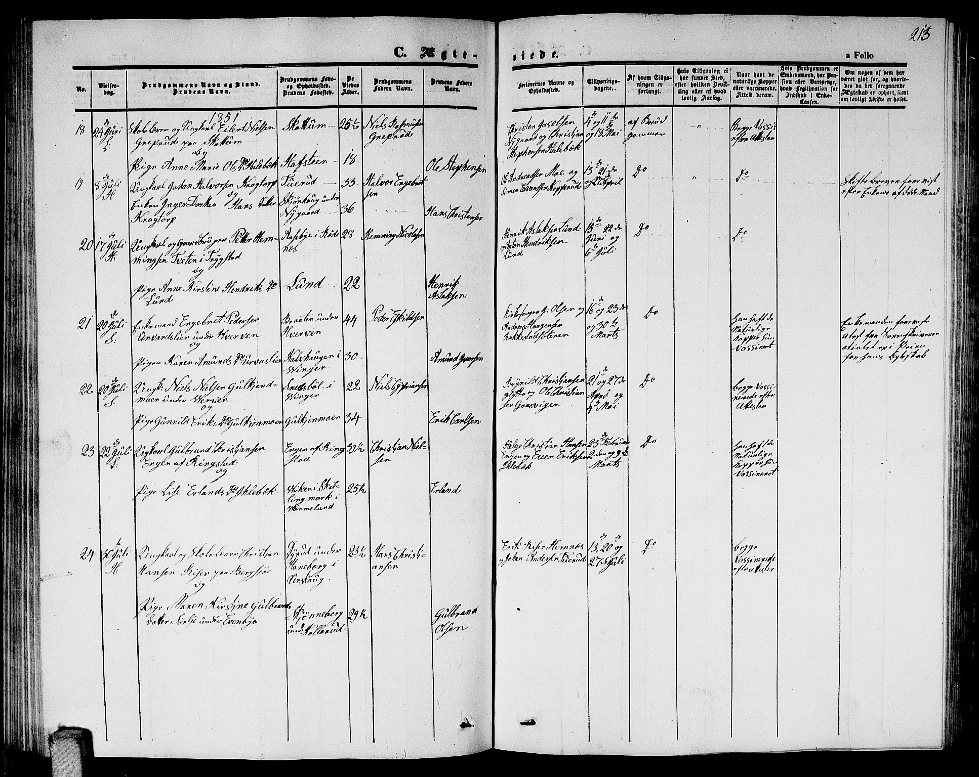 Høland prestekontor Kirkebøker, AV/SAO-A-10346a/G/Ga/L0003: Parish register (copy) no. I 3, 1846-1853, p. 213