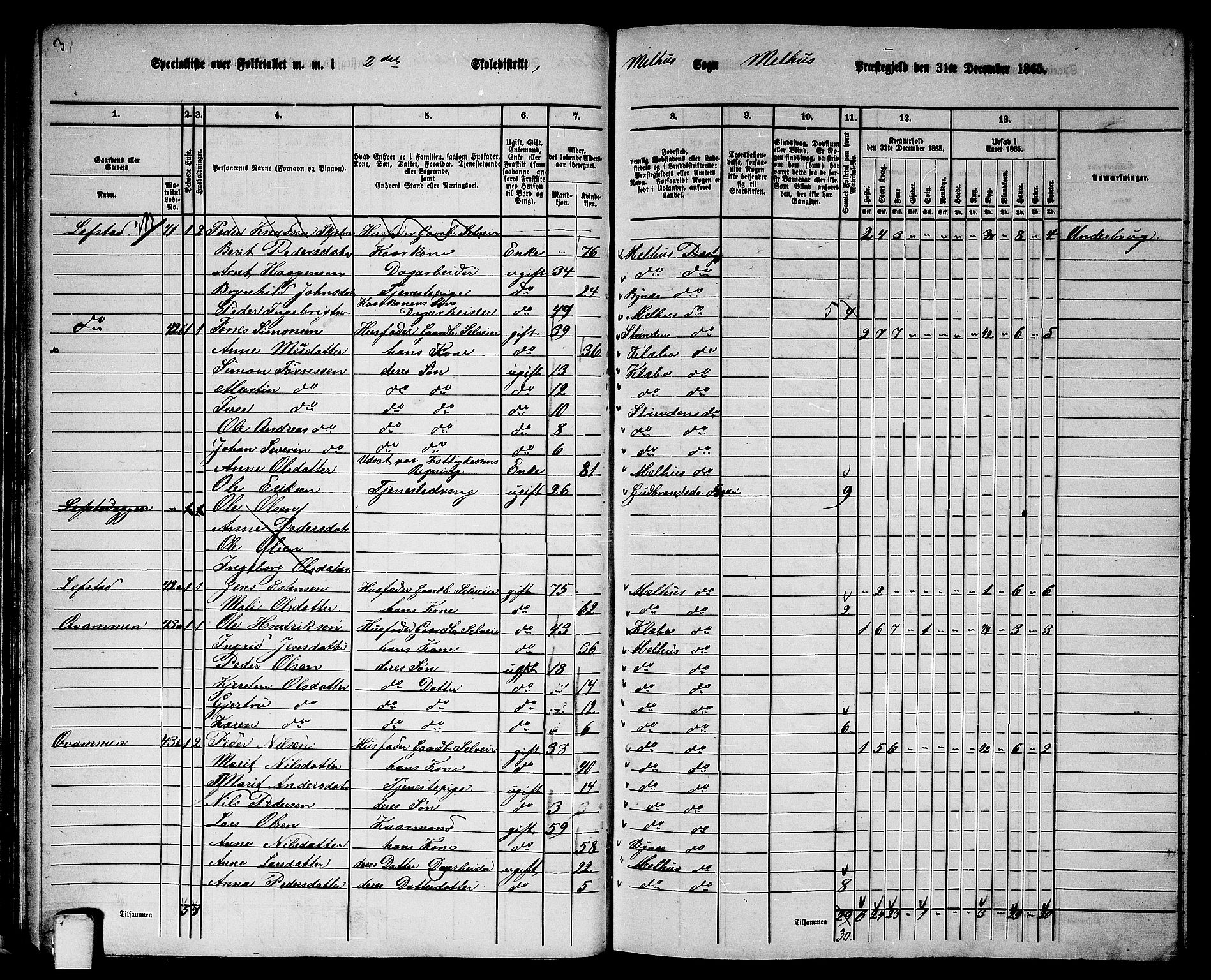 RA, 1865 census for Melhus, 1865, p. 40