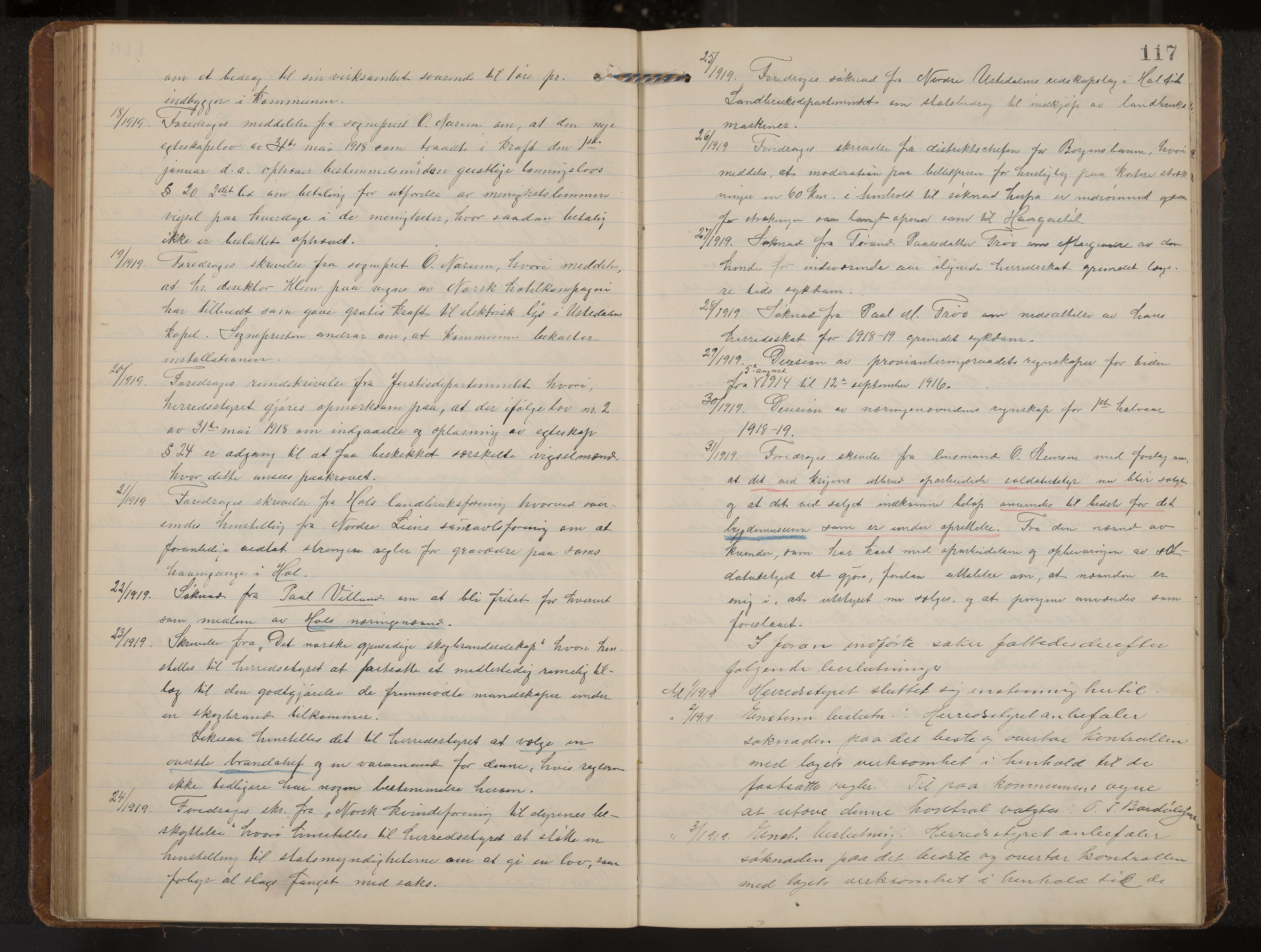 Hol formannskap og sentraladministrasjon, IKAK/0620021-1/A/L0006: Møtebok, 1916-1922, p. 117