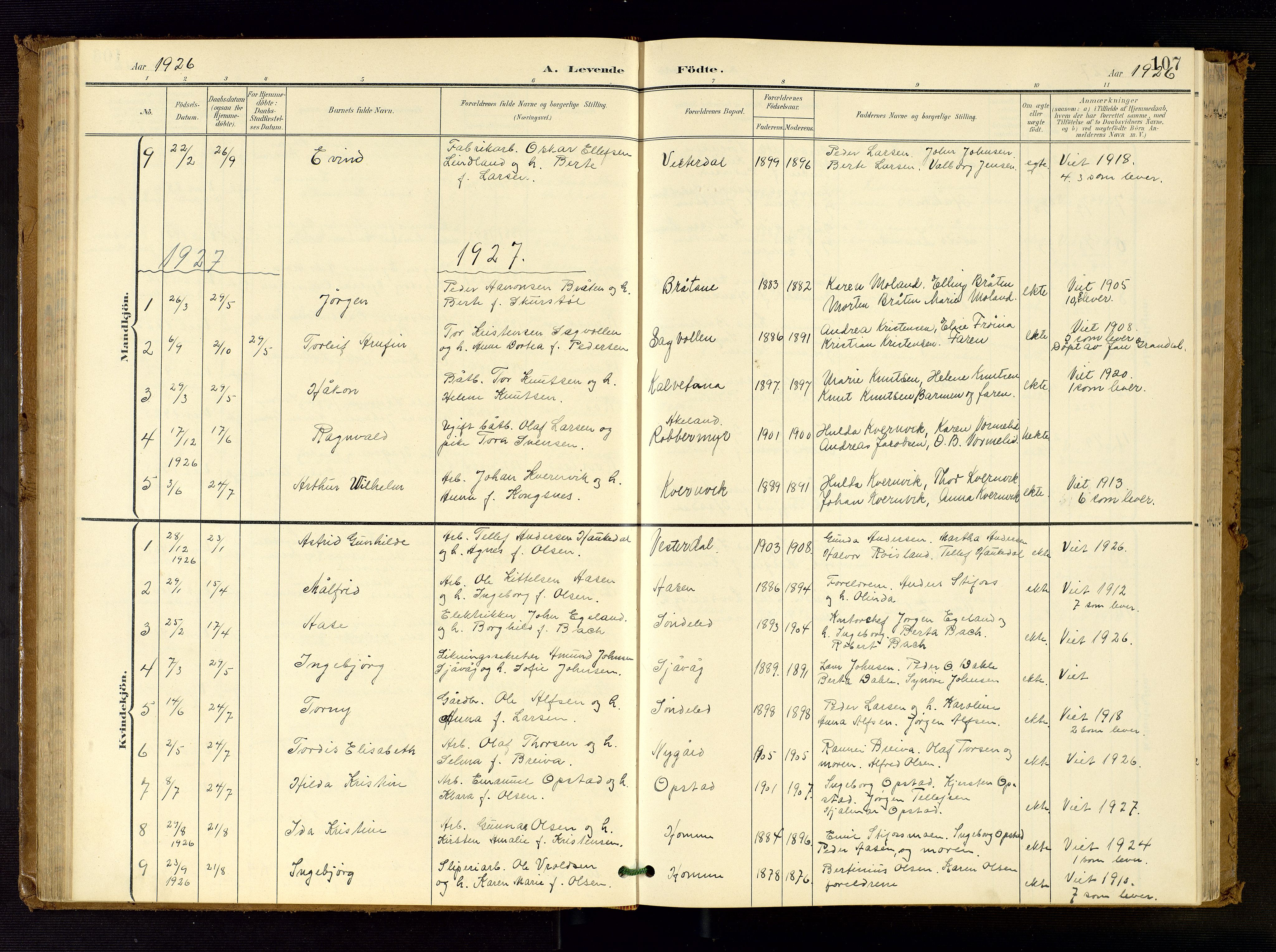 Søndeled sokneprestkontor, AV/SAK-1111-0038/F/Fb/L0005: Parish register (copy) no. B 6, 1900-1962, p. 107