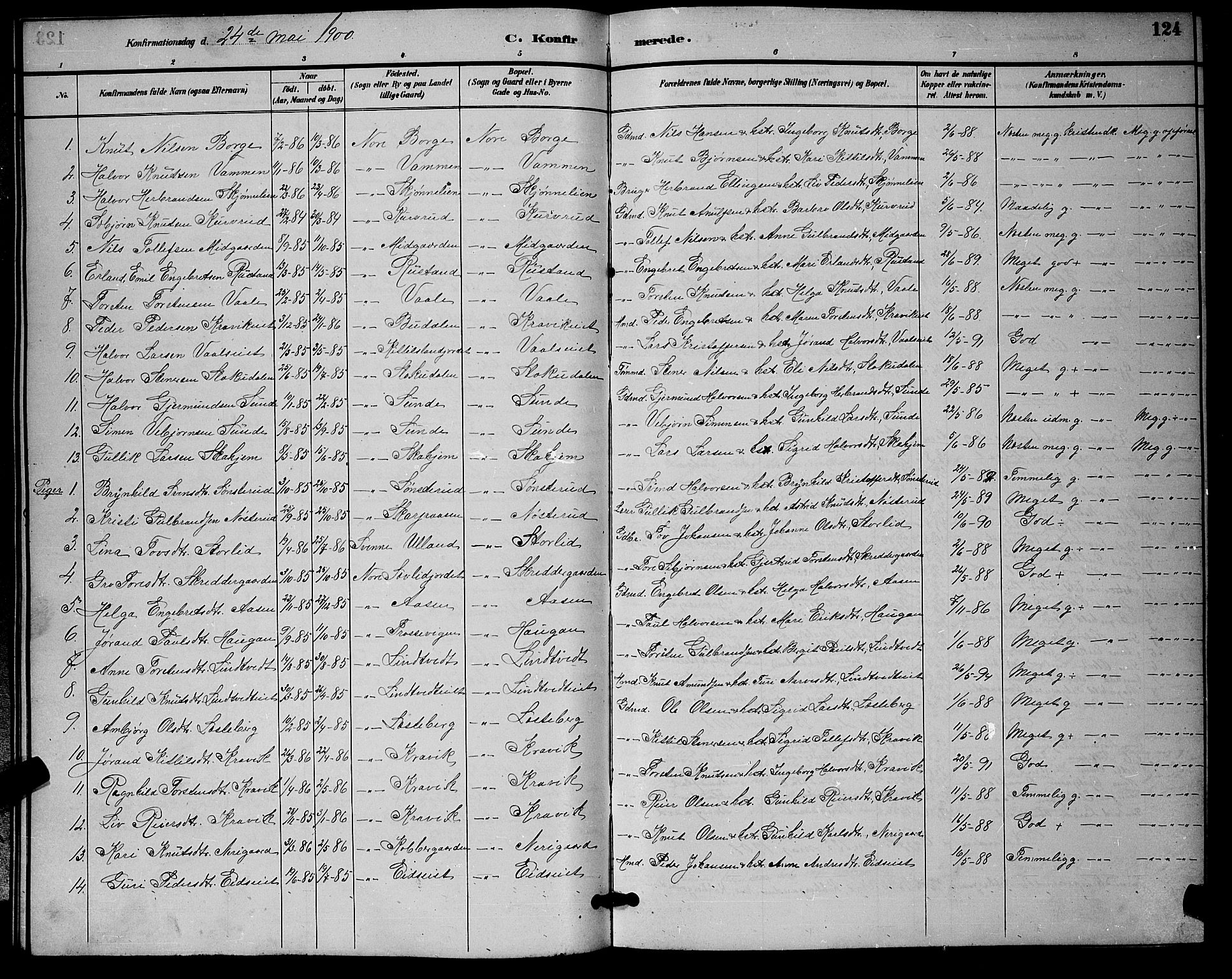 Nore kirkebøker, AV/SAKO-A-238/G/Ga/L0003: Parish register (copy) no. I 3, 1886-1903, p. 124