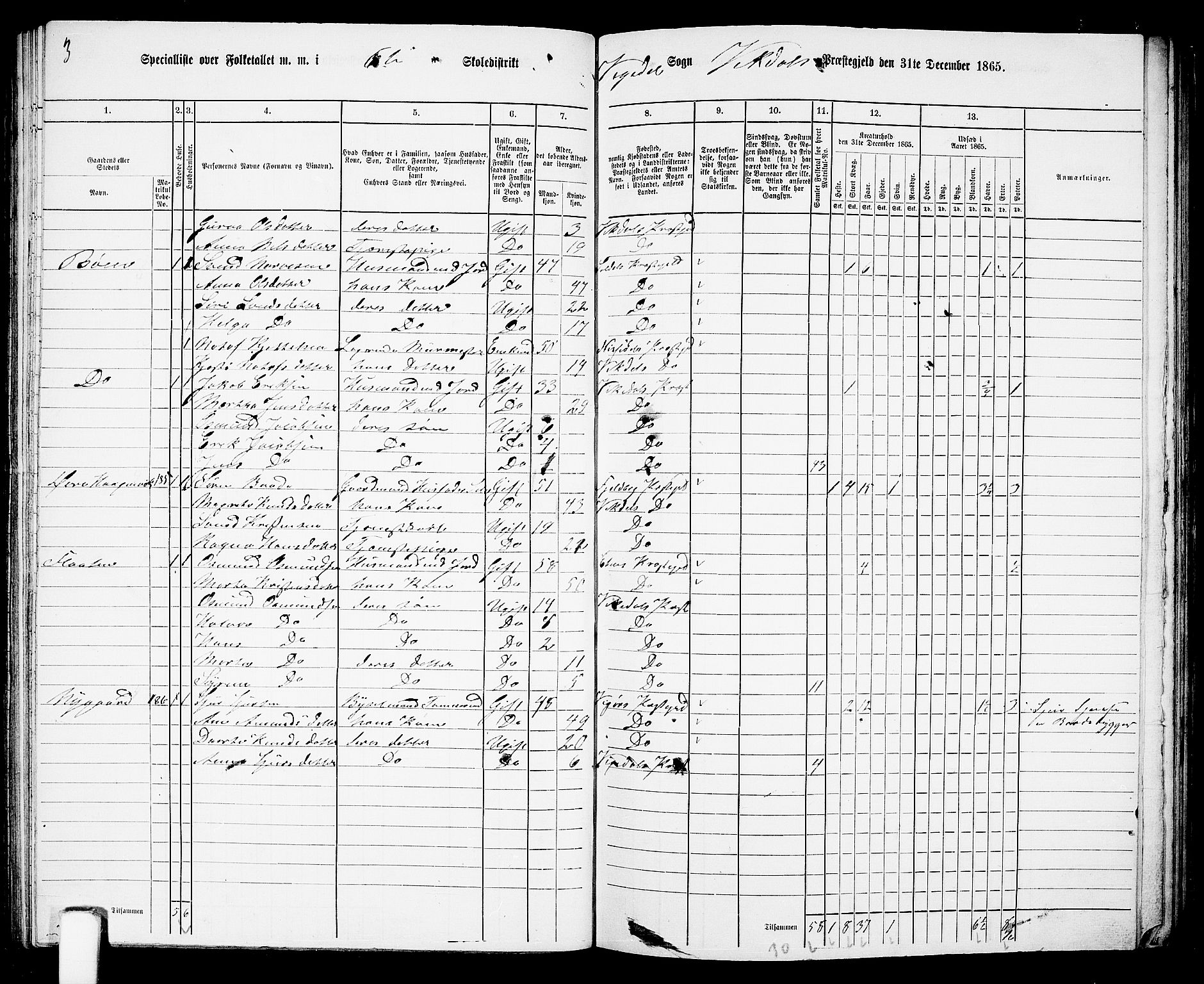 RA, 1865 census for Vikedal, 1865, p. 58