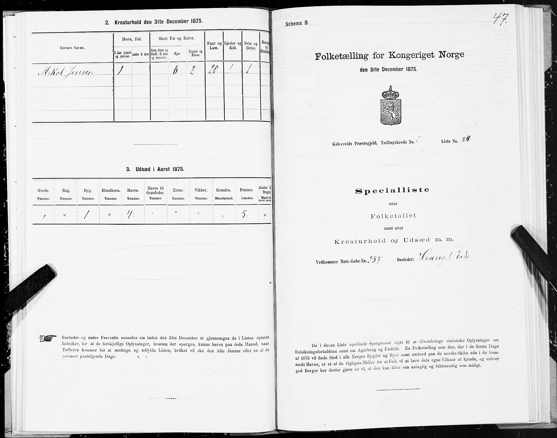SAT, 1875 census for 1752P Kolvereid, 1875, p. 1047