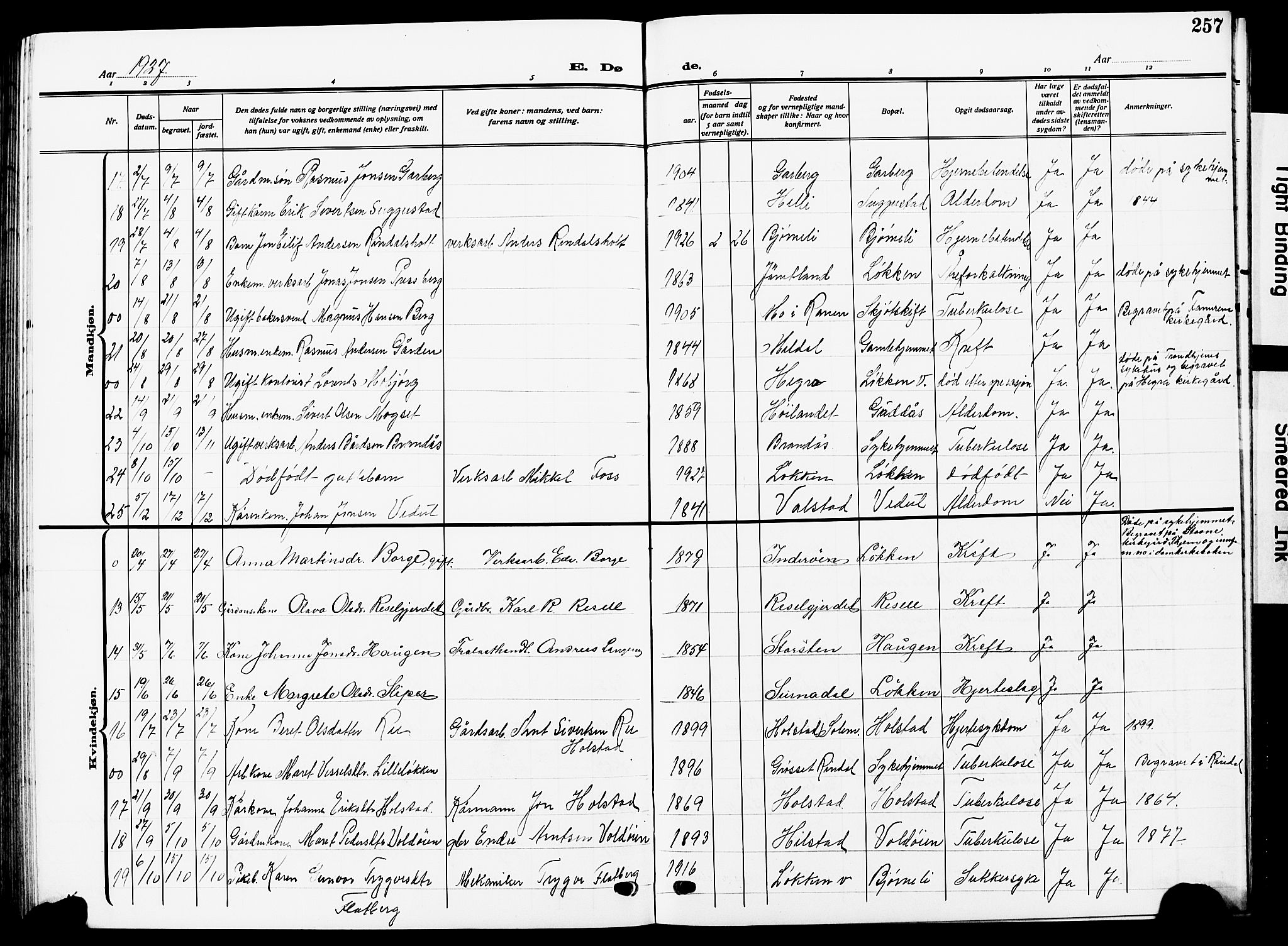 Ministerialprotokoller, klokkerbøker og fødselsregistre - Sør-Trøndelag, AV/SAT-A-1456/672/L0865: Parish register (copy) no. 672C04, 1914-1928, p. 257