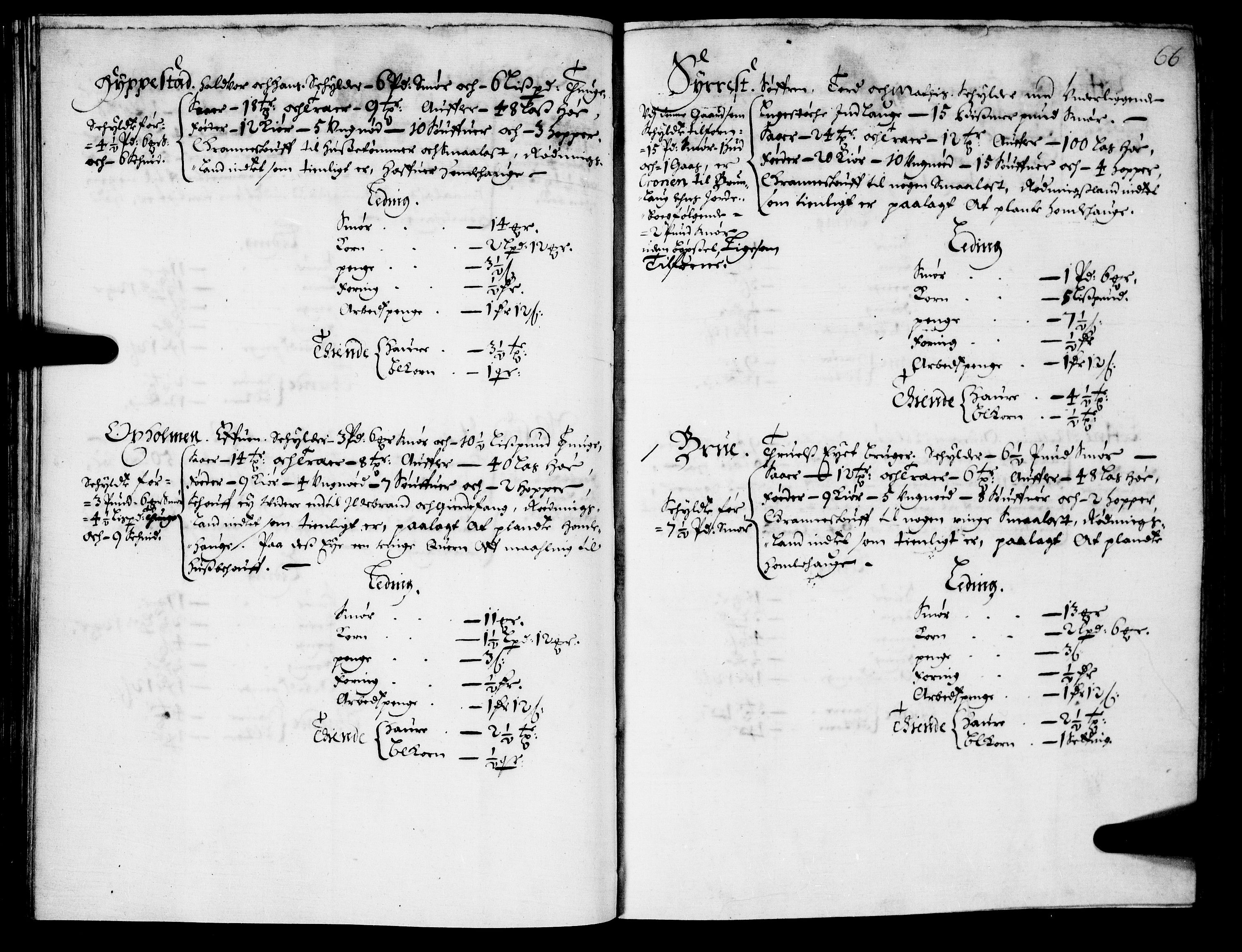 Rentekammeret inntil 1814, Realistisk ordnet avdeling, AV/RA-EA-4070/N/Nb/Nba/L0021: Brunla len, 1667, p. 65b-66a