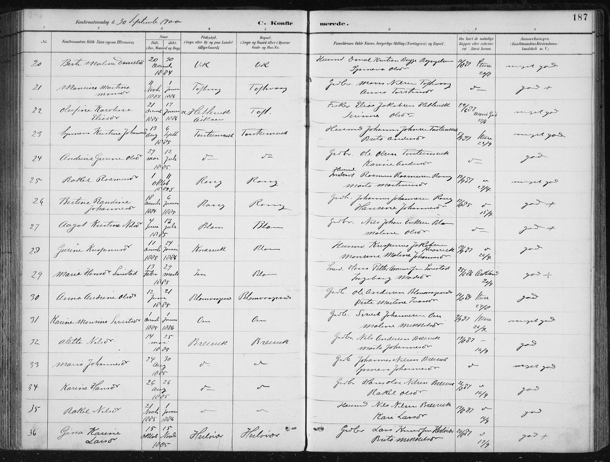 Herdla Sokneprestembete, AV/SAB-A-75701/H/Haa: Parish register (official) no. A 4, 1891-1905, p. 187