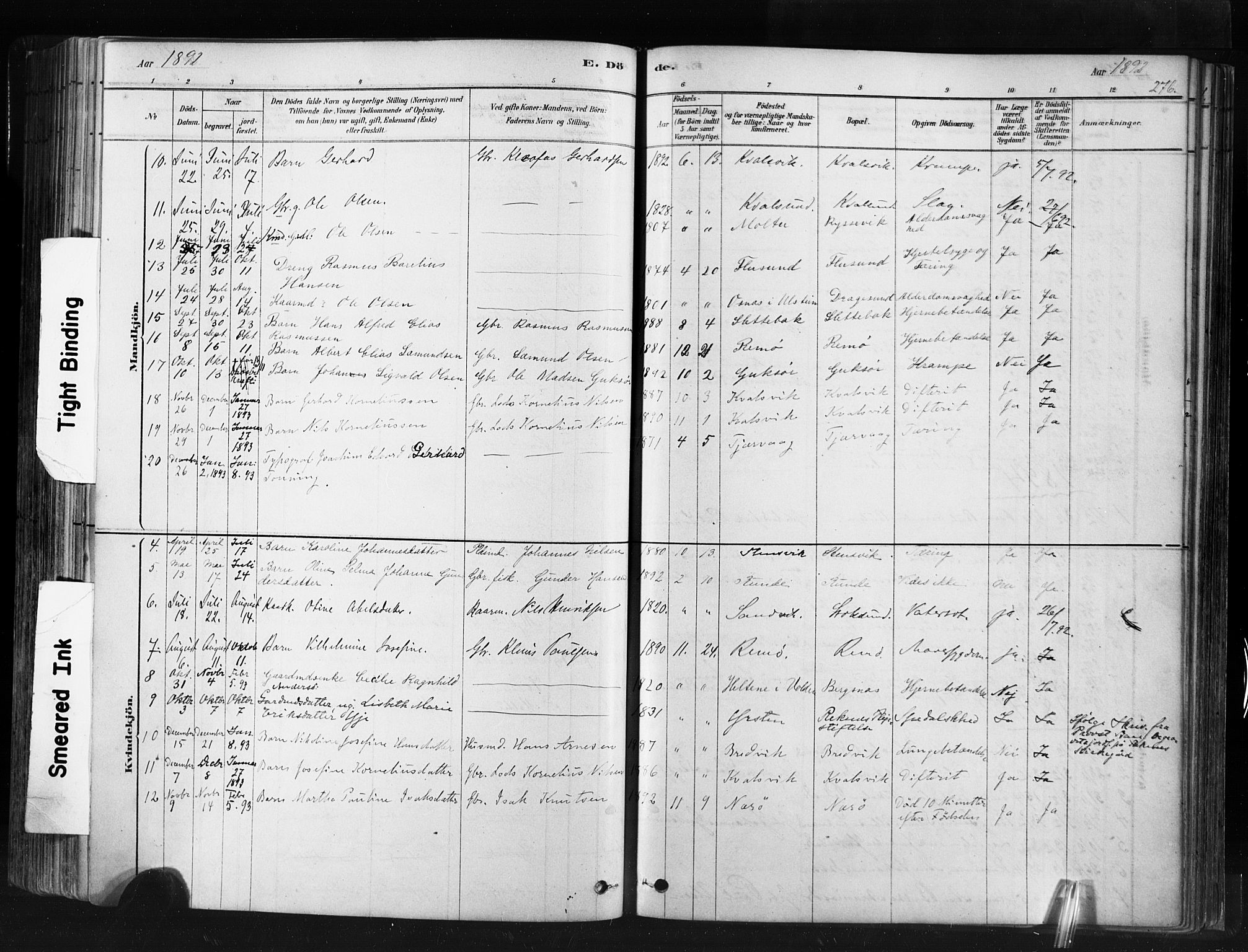 Ministerialprotokoller, klokkerbøker og fødselsregistre - Møre og Romsdal, AV/SAT-A-1454/507/L0073: Parish register (official) no. 507A08, 1878-1904, p. 276