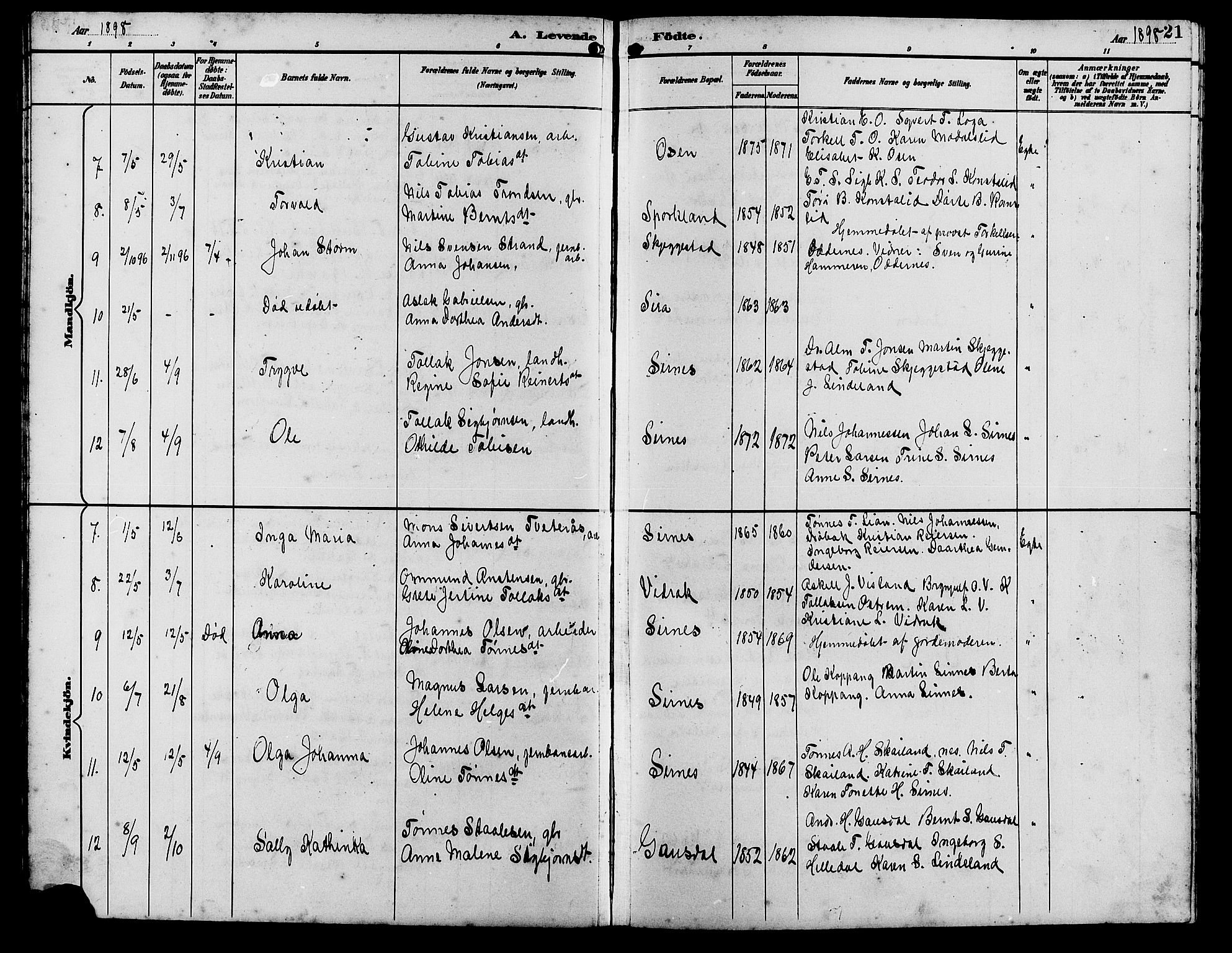 Bakke sokneprestkontor, SAK/1111-0002/F/Fb/Fba/L0003: Parish register (copy) no. B 3, 1894-1910, p. 21