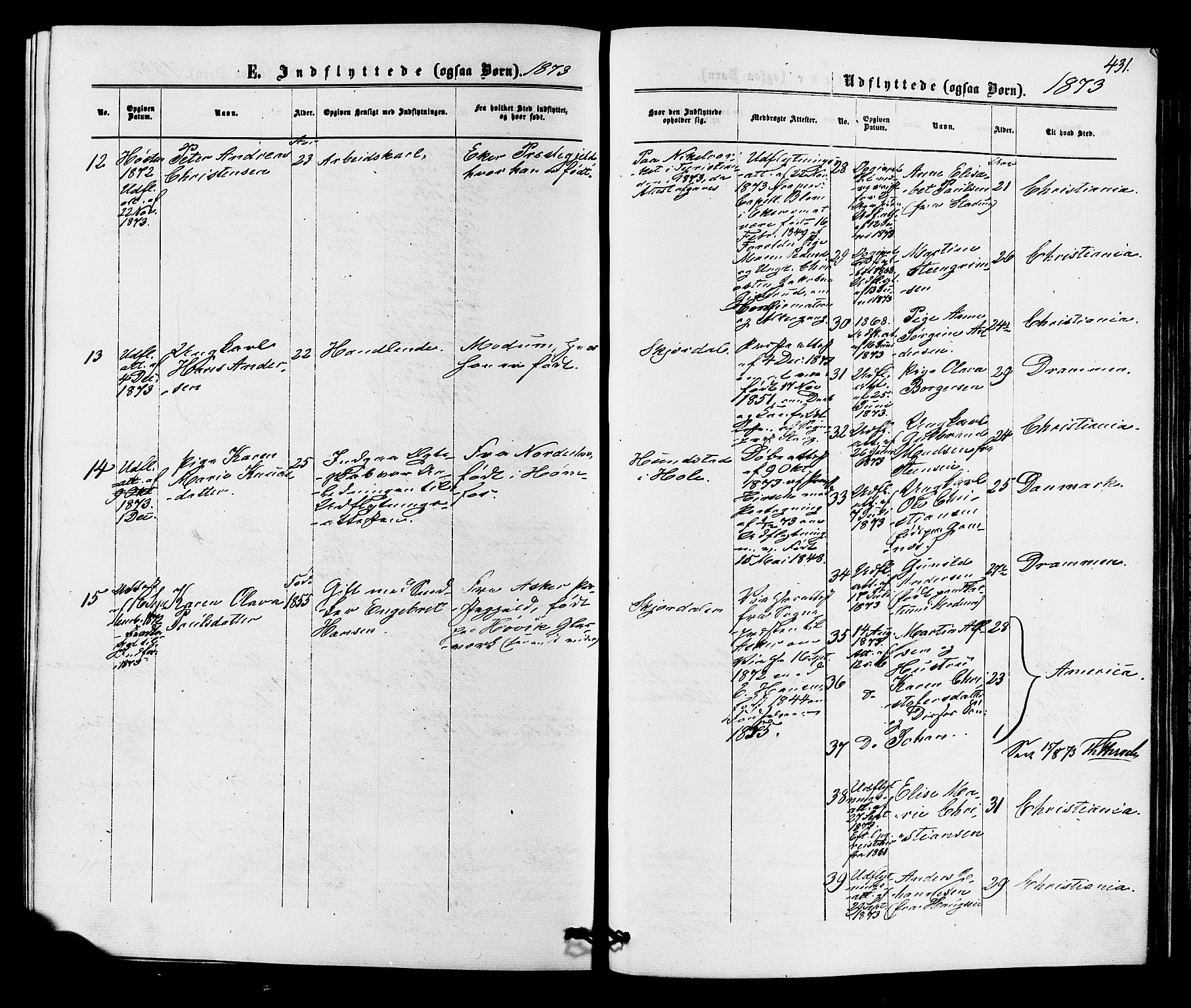Hole kirkebøker, SAKO/A-228/F/Fa/L0007: Parish register (official) no. I 7, 1873-1877, p. 431