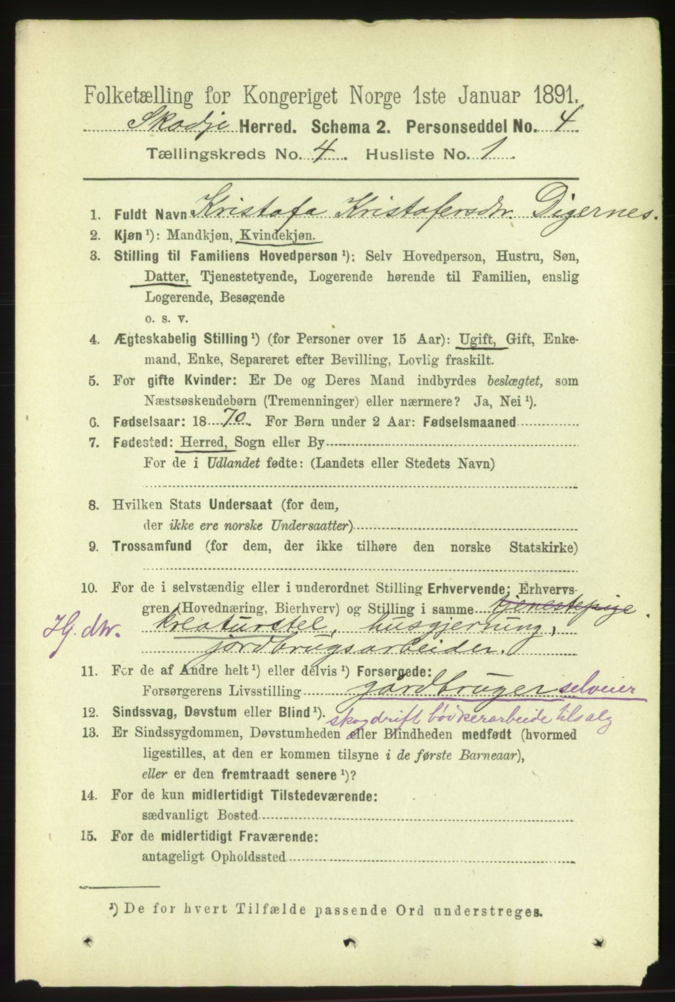 RA, 1891 census for 1529 Skodje, 1891, p. 591