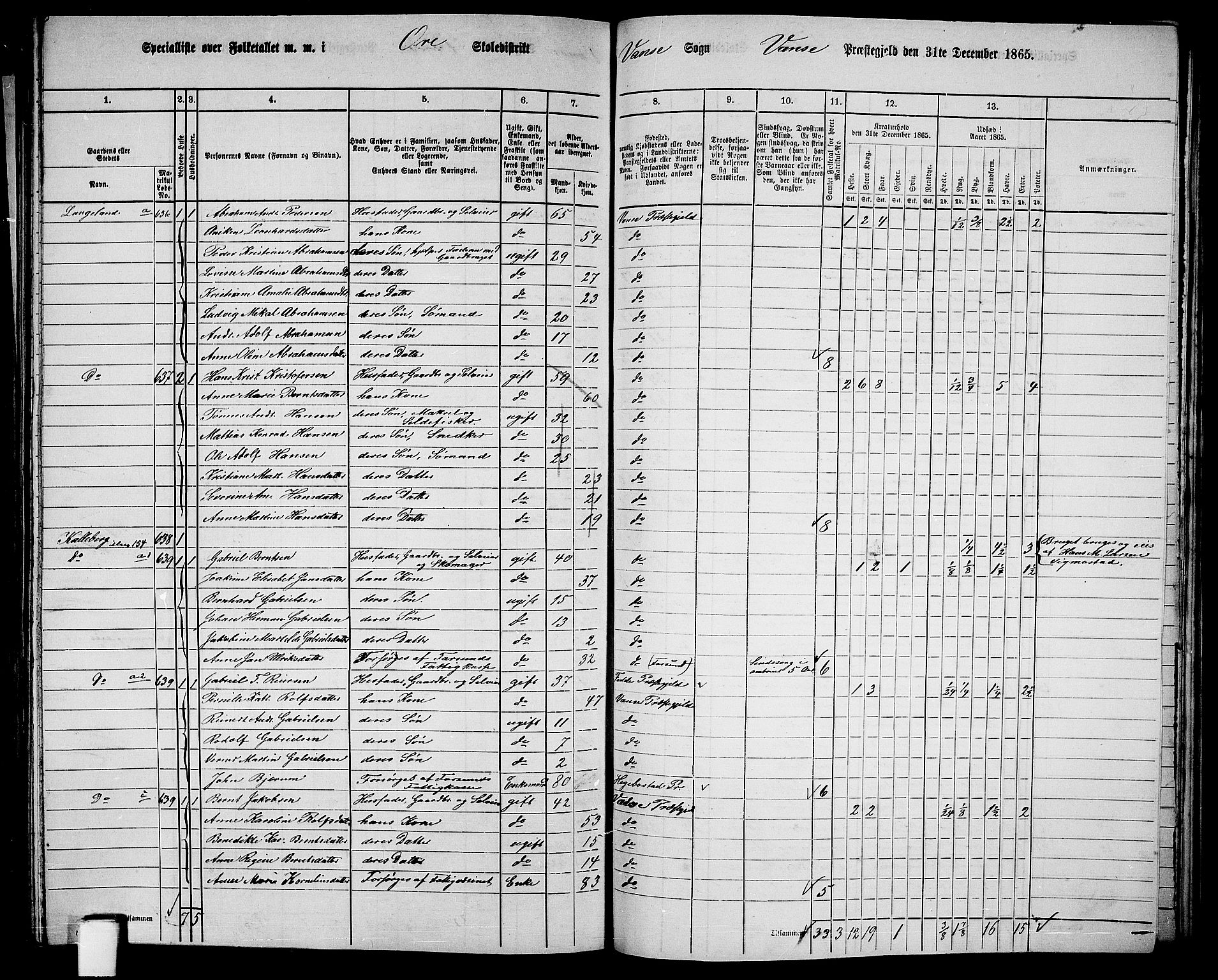 RA, 1865 census for Vanse/Vanse og Farsund, 1865, p. 225