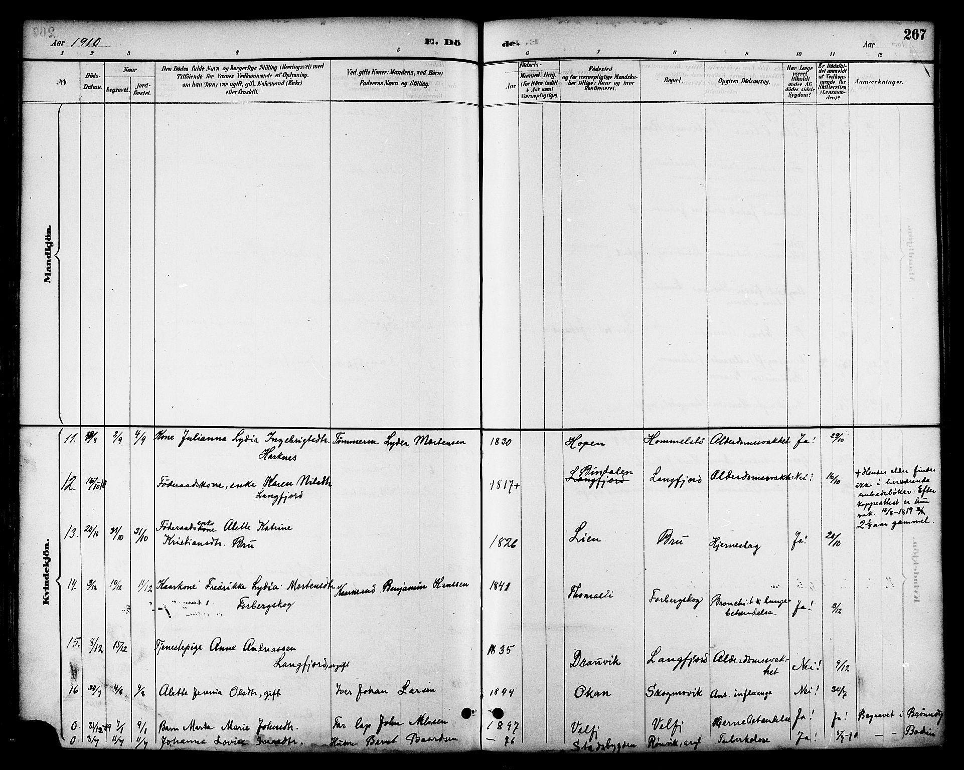 Ministerialprotokoller, klokkerbøker og fødselsregistre - Nordland, AV/SAT-A-1459/814/L0230: Parish register (copy) no. 814C03, 1884-1911, p. 267