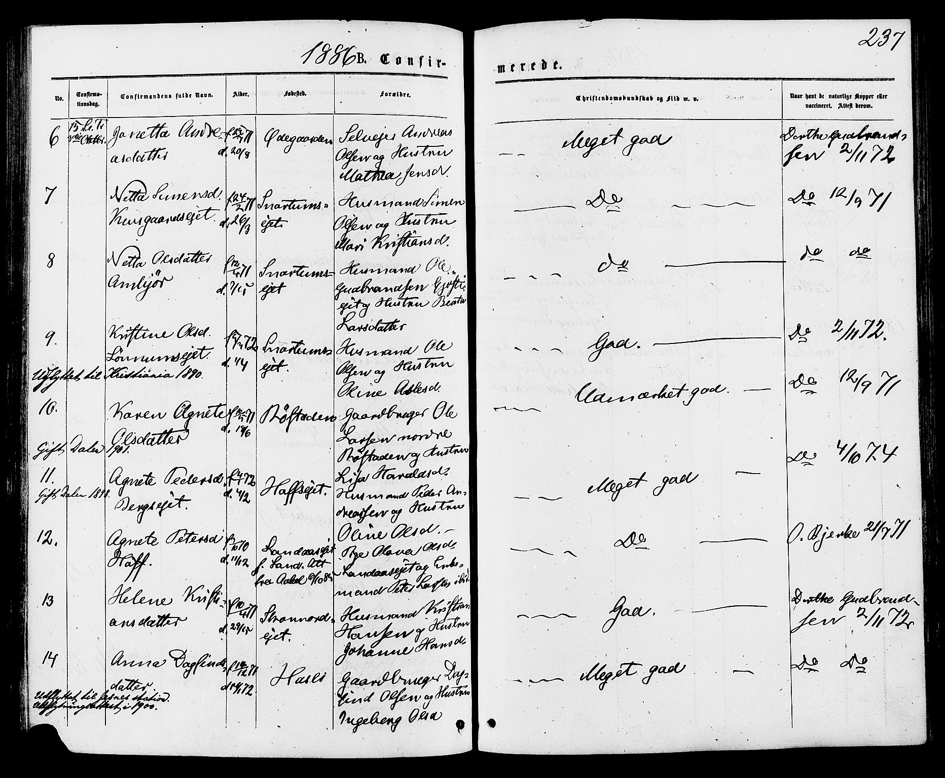 Biri prestekontor, SAH/PREST-096/H/Ha/Haa/L0006: Parish register (official) no. 6, 1877-1886, p. 237