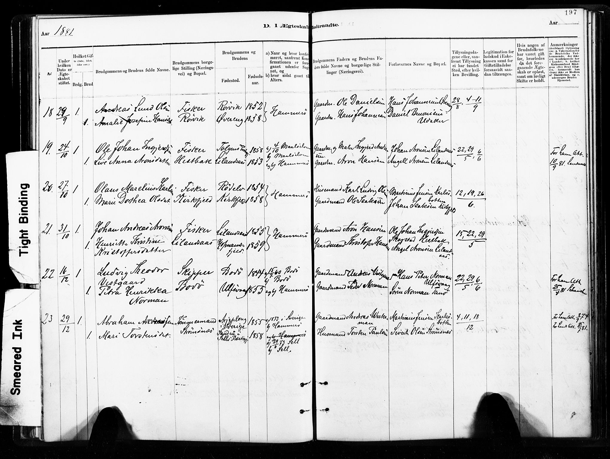 Ministerialprotokoller, klokkerbøker og fødselsregistre - Nordland, SAT/A-1459/859/L0846: Parish register (official) no. 859A06, 1878-1889, p. 197
