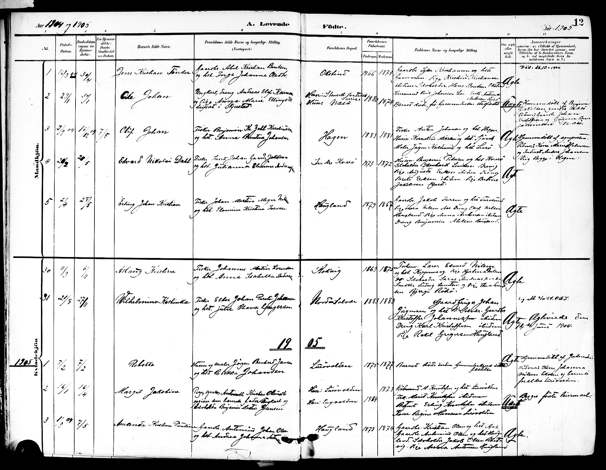 Ministerialprotokoller, klokkerbøker og fødselsregistre - Nordland, SAT/A-1459/839/L0569: Parish register (official) no. 839A06, 1903-1922, p. 12