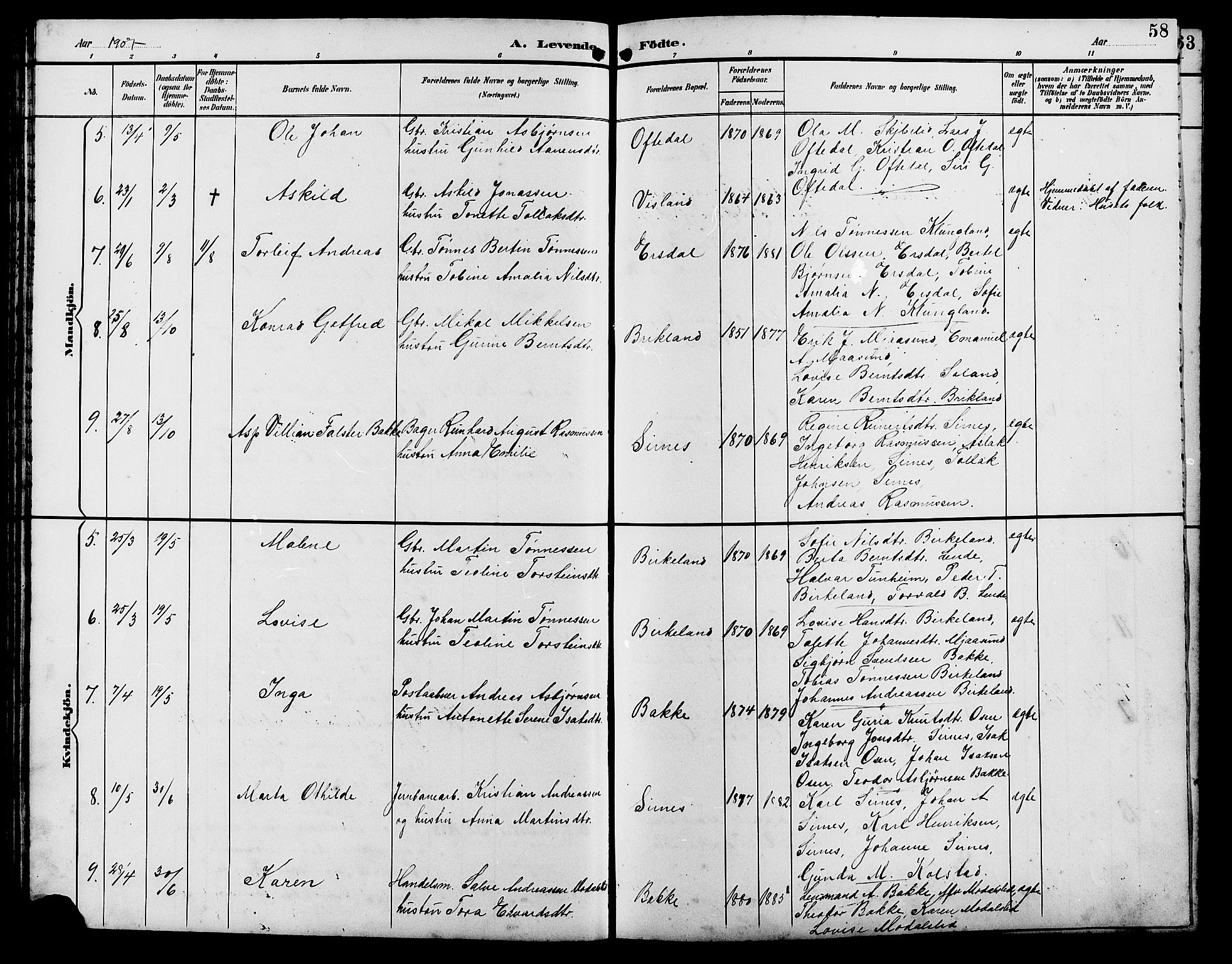 Bakke sokneprestkontor, SAK/1111-0002/F/Fb/Fba/L0003: Parish register (copy) no. B 3, 1894-1910, p. 58